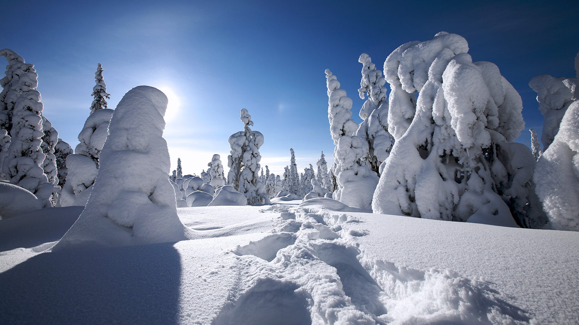 Winter in Finland wallpapers, HD backgrounds, Tom of Finland artwork, Stunning visuals, 1920x1080 Full HD Desktop