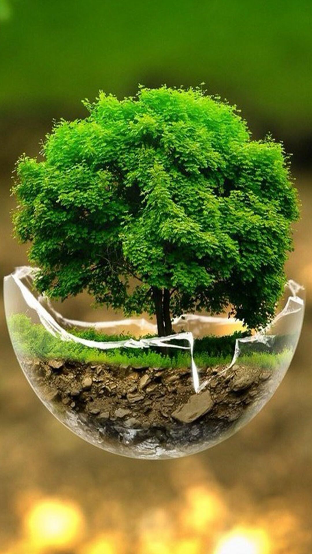 Bonsai tree, iPhone wallpapers, Miniature nature, Zen aesthetic, 1080x1920 Full HD Phone