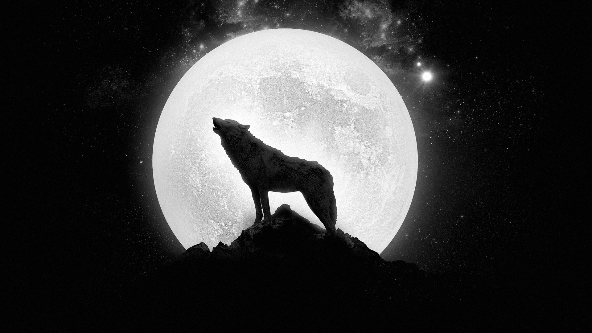 HD wolf howling wallpaper, Stunning visual, Sarah Johnson's choice, Captivating image, 1920x1080 Full HD Desktop