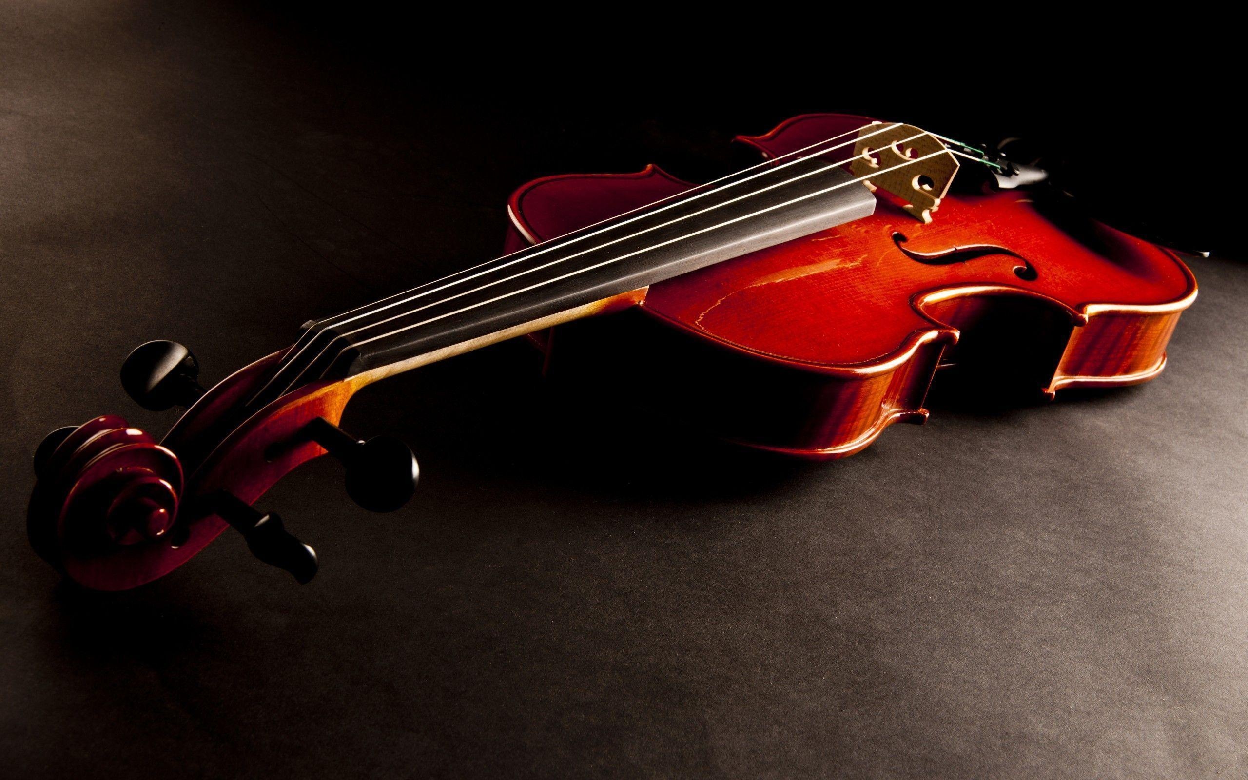 Viola music, Violin wallpapers, Stringed elegance, Melodic strings, 2560x1600 HD Desktop