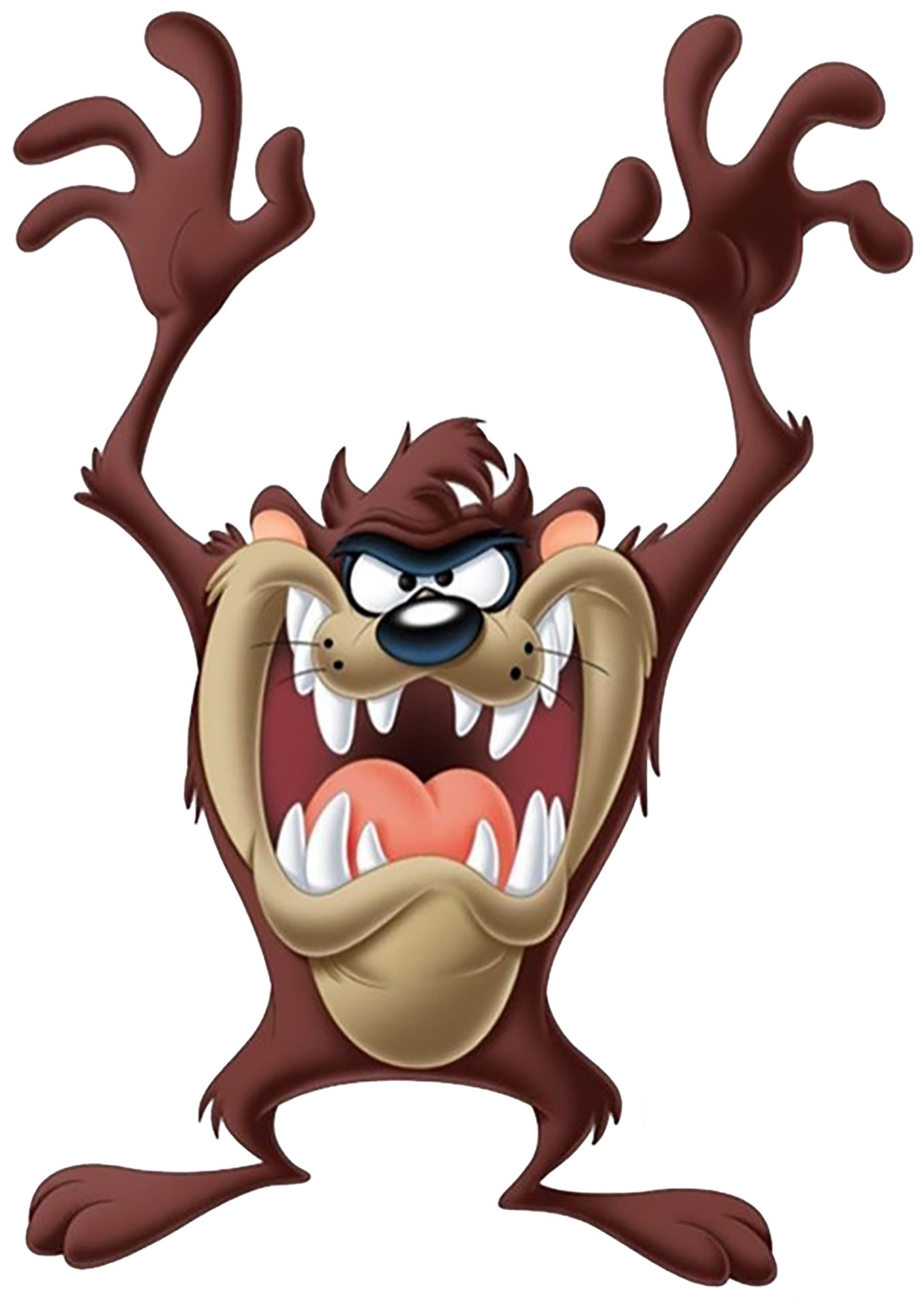 Tasmanian Devil, Iron on transfer, Divine bovinity design, Cartoon character, 1830x2560 HD Phone