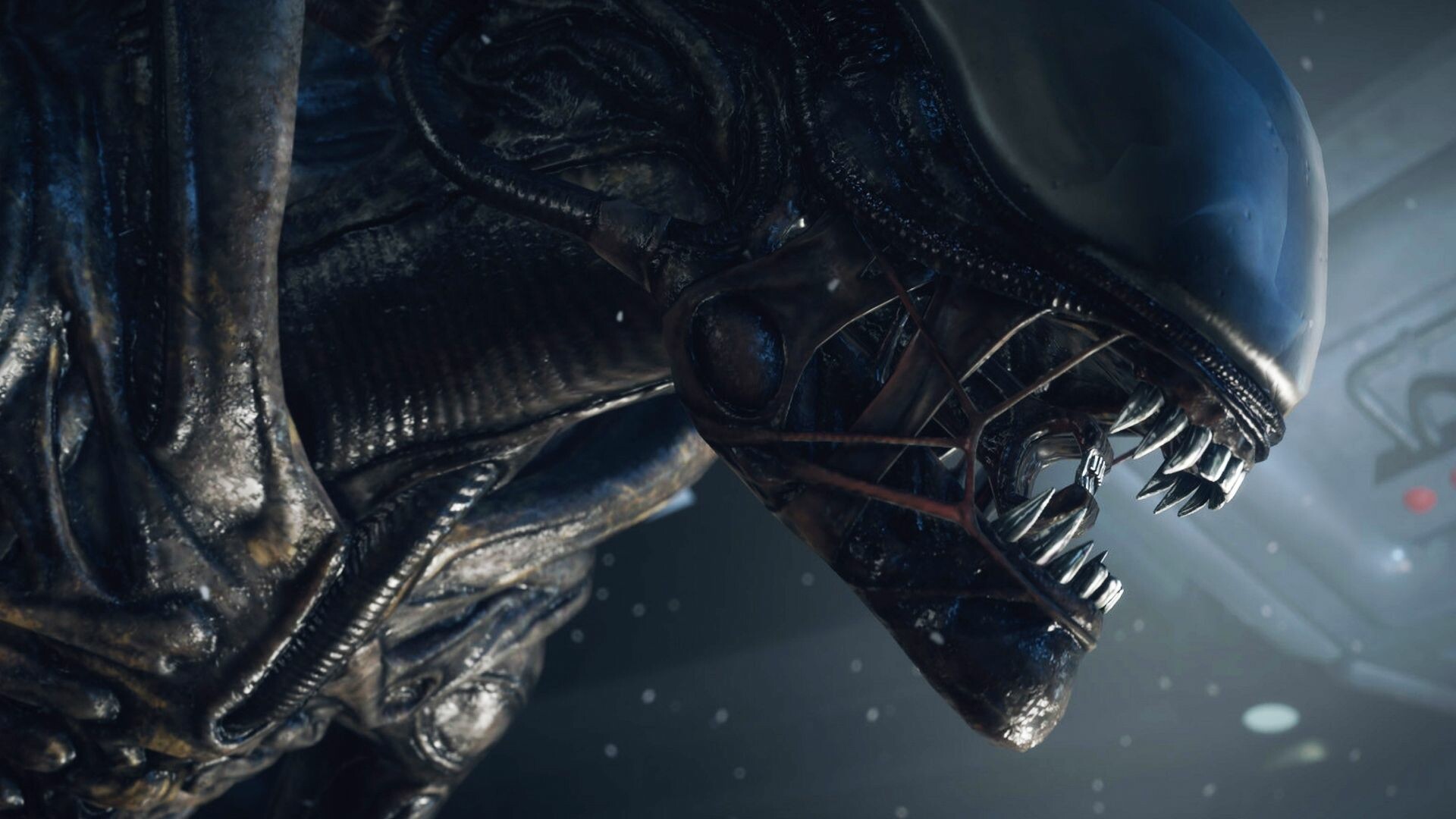 Alien wallpapers, 4K HD, Alien creatures, Cosmic terror, 1920x1080 Full HD Desktop