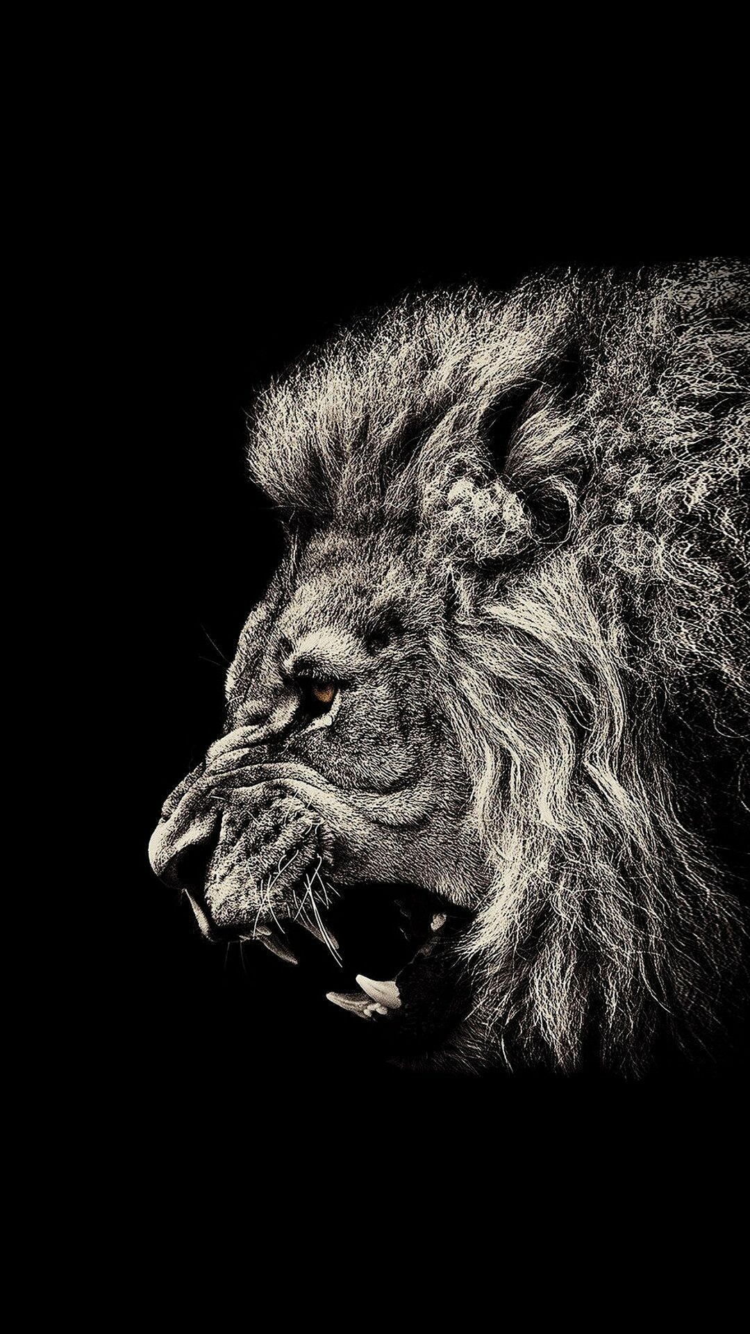 Amoled lion, Dark-themed wallpaper, Rich colors, Striking visuals, 1080x1920 Full HD Phone