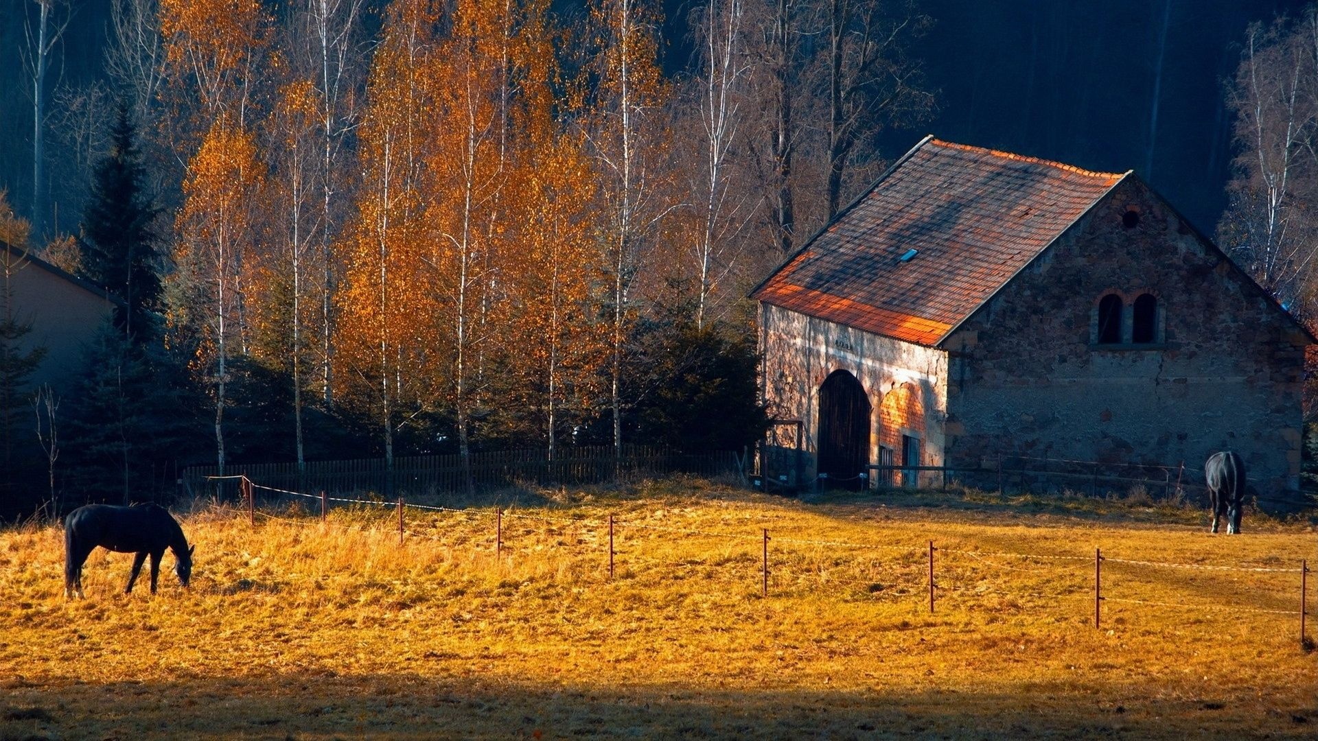 Kentucky Horse Farm, Scenery Wallpaper, Autumn, Trees, 1920x1080 Full HD Desktop