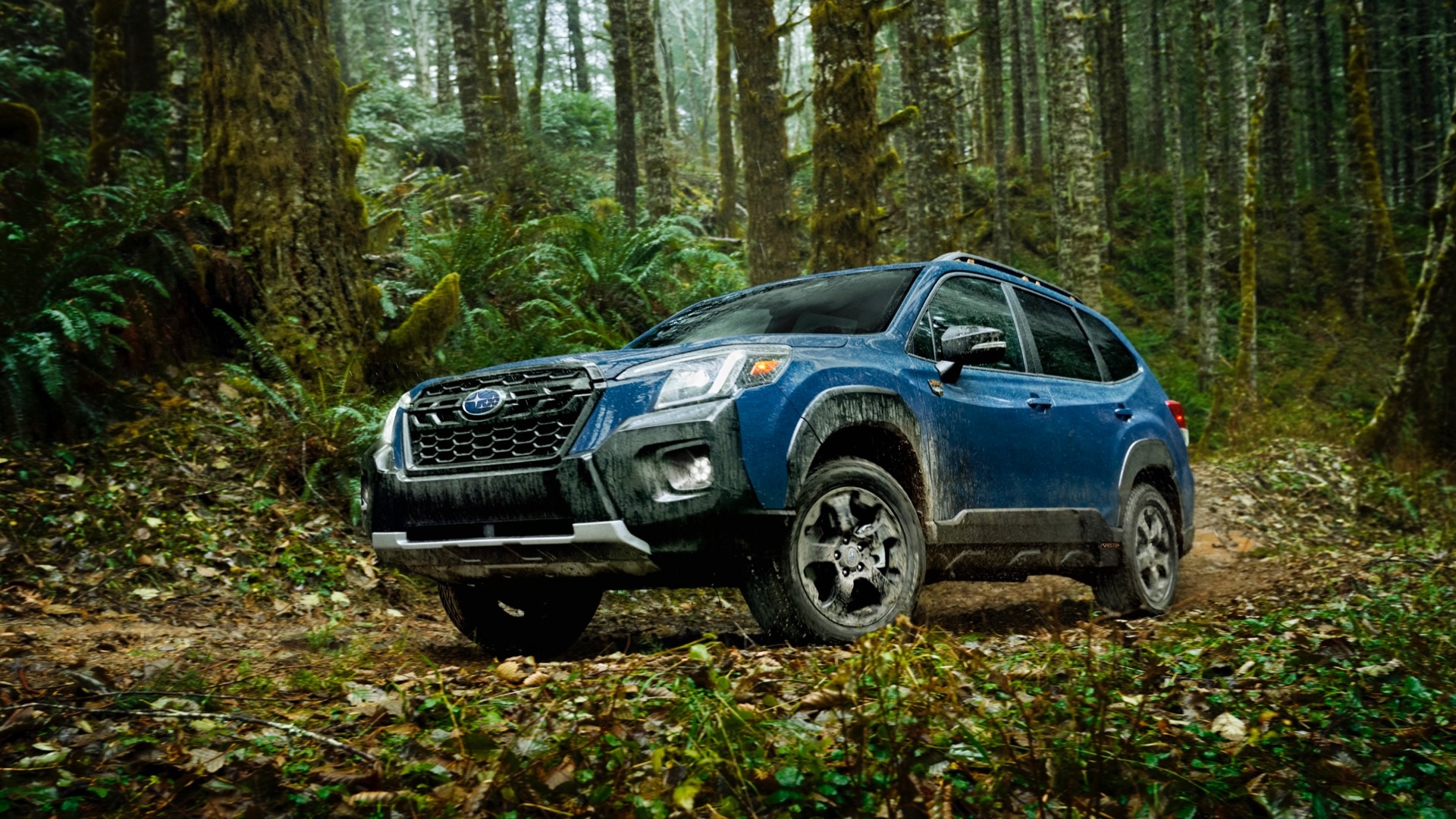 Subaru Forester, Auto wilderness, Free car wallpapers, Motortread, 1920x1080 Full HD Desktop