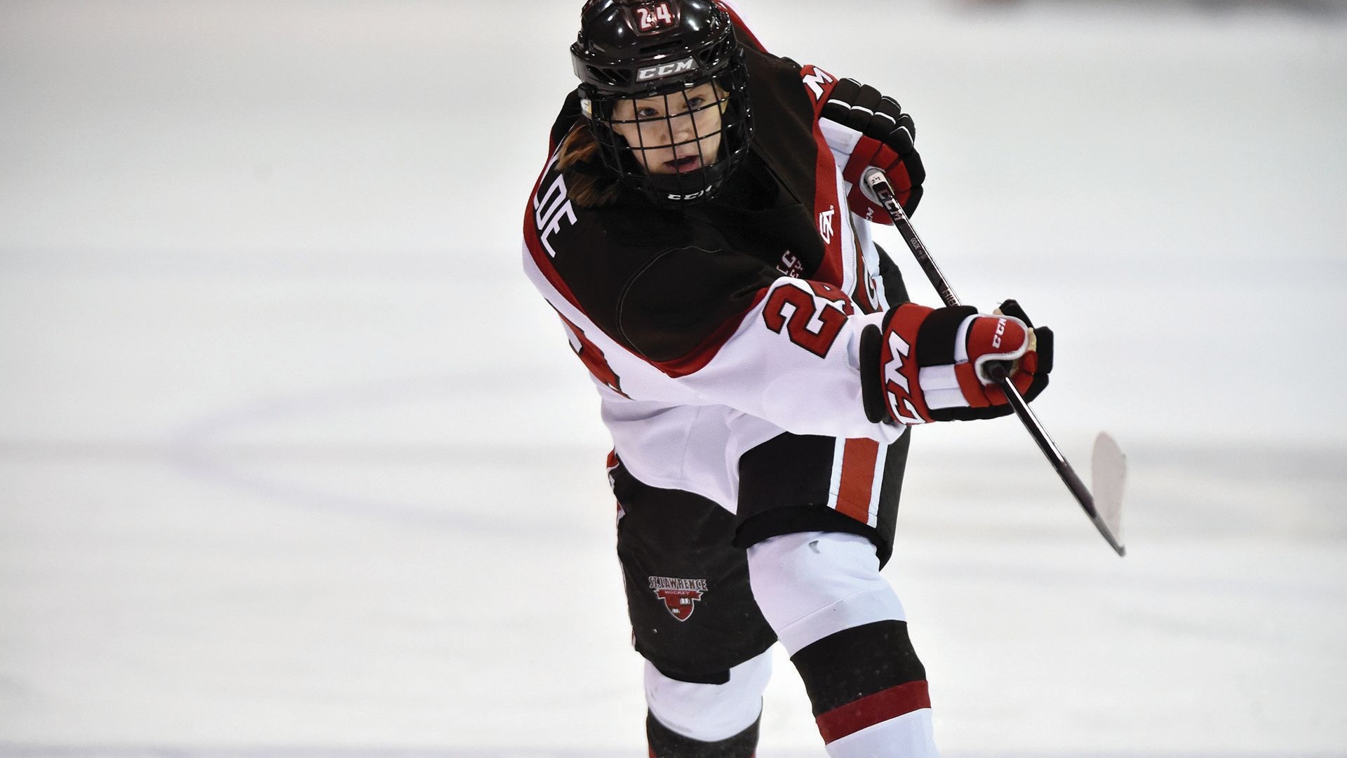 Ice Hockey, Exciting sport, Fast-paced action, Team spirit, 1920x1080 Full HD Desktop