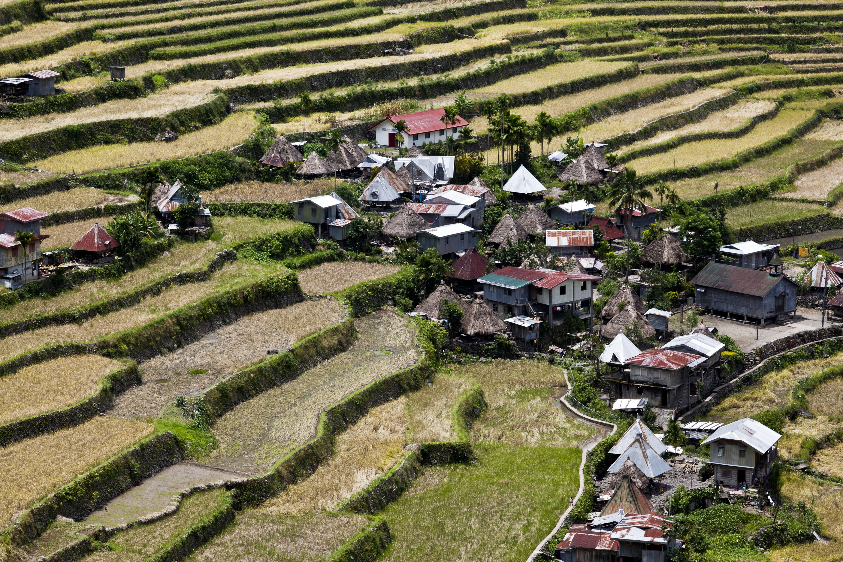 Banaue village houses, Ifugao province, Batad rice terraces, Aug 2011 post, 2810x1880 HD Desktop