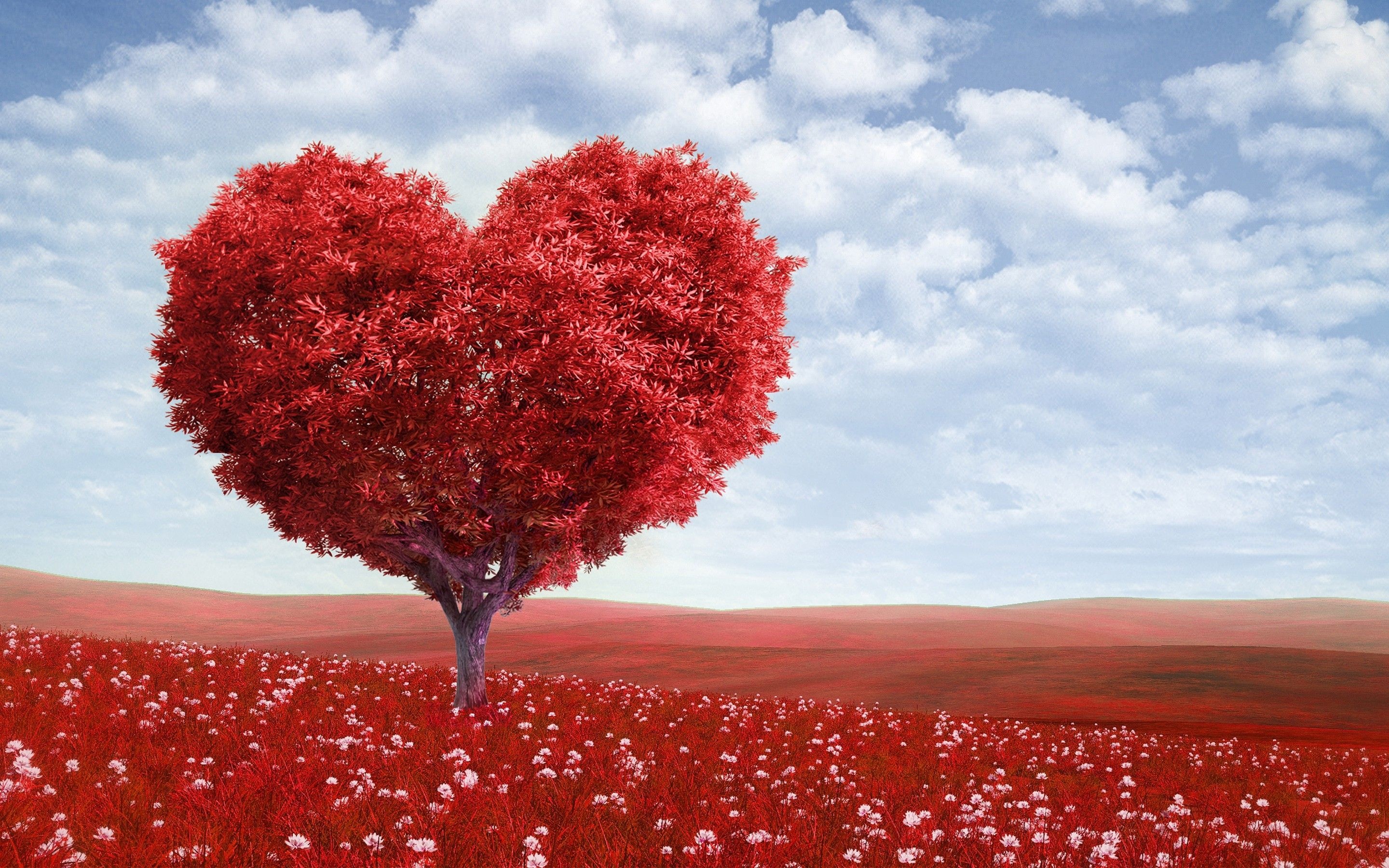 Heart Shape, Heart tree, Top free backgrounds, 2880x1800 HD Desktop