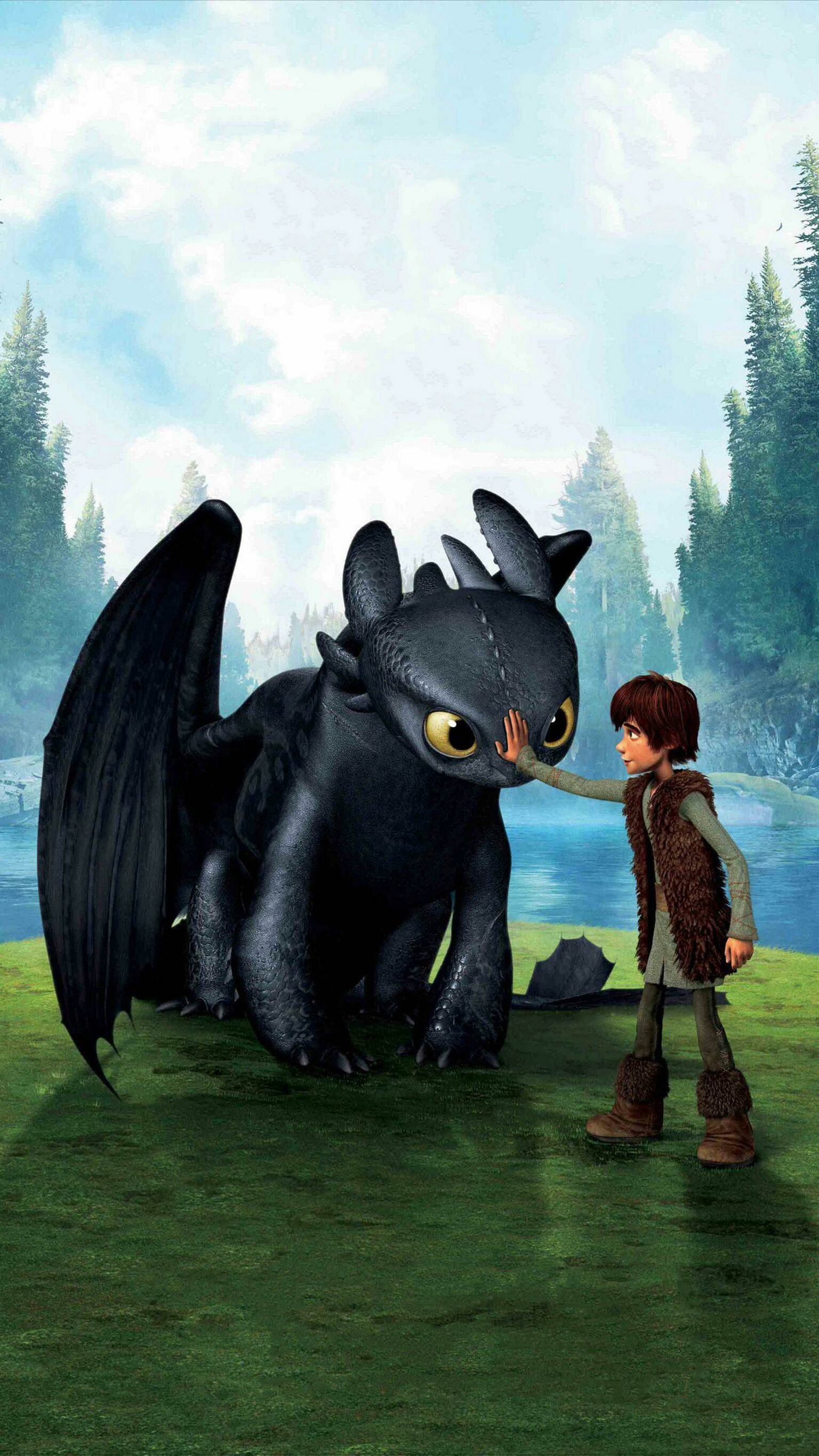 Train Your Dragon, Animated adventure, Epic journey, Dragon companions, 1540x2740 HD Phone