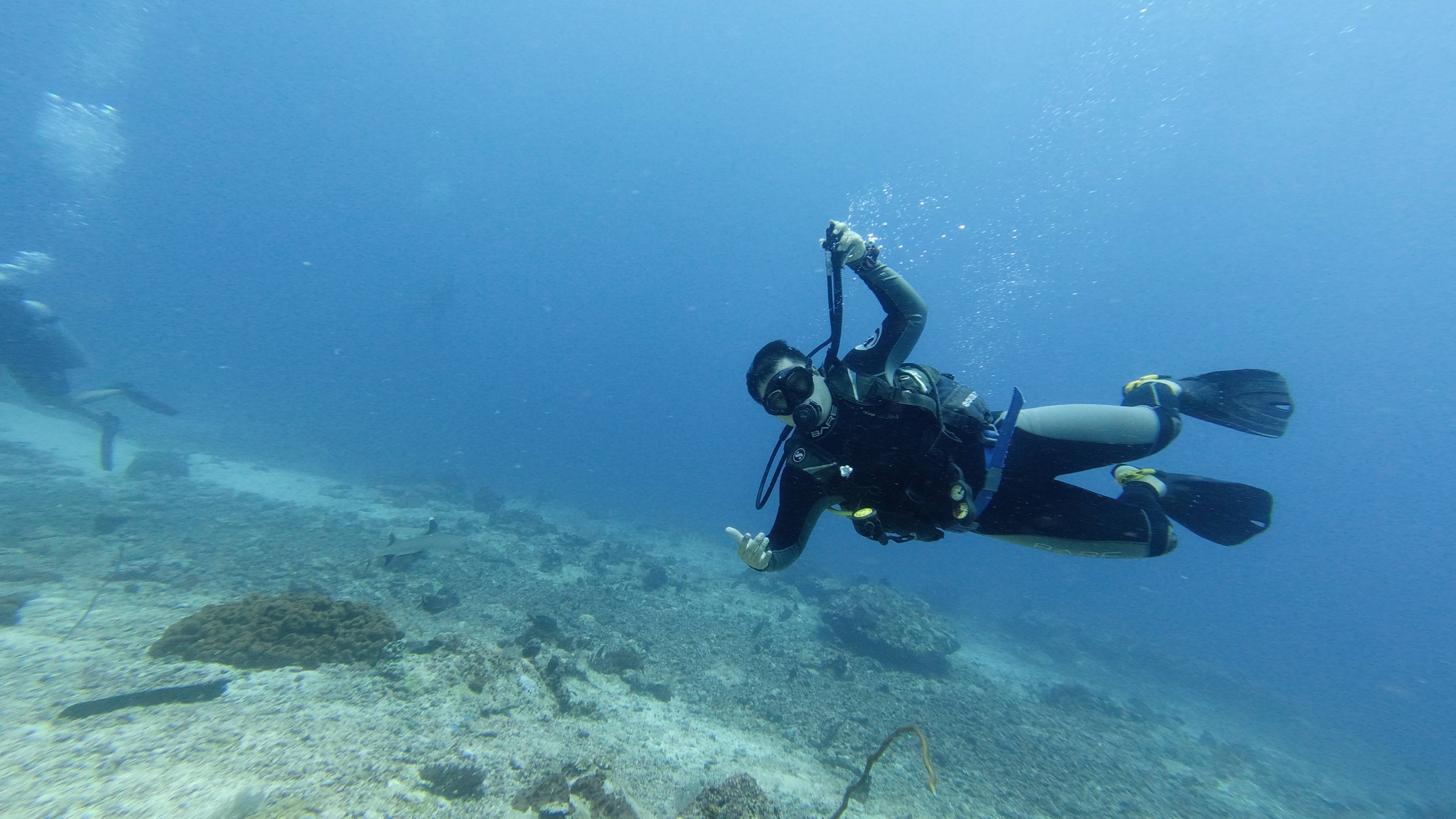 Barracuda Point, Scuba Diving Wallpaper, 3840x2160 4K Desktop