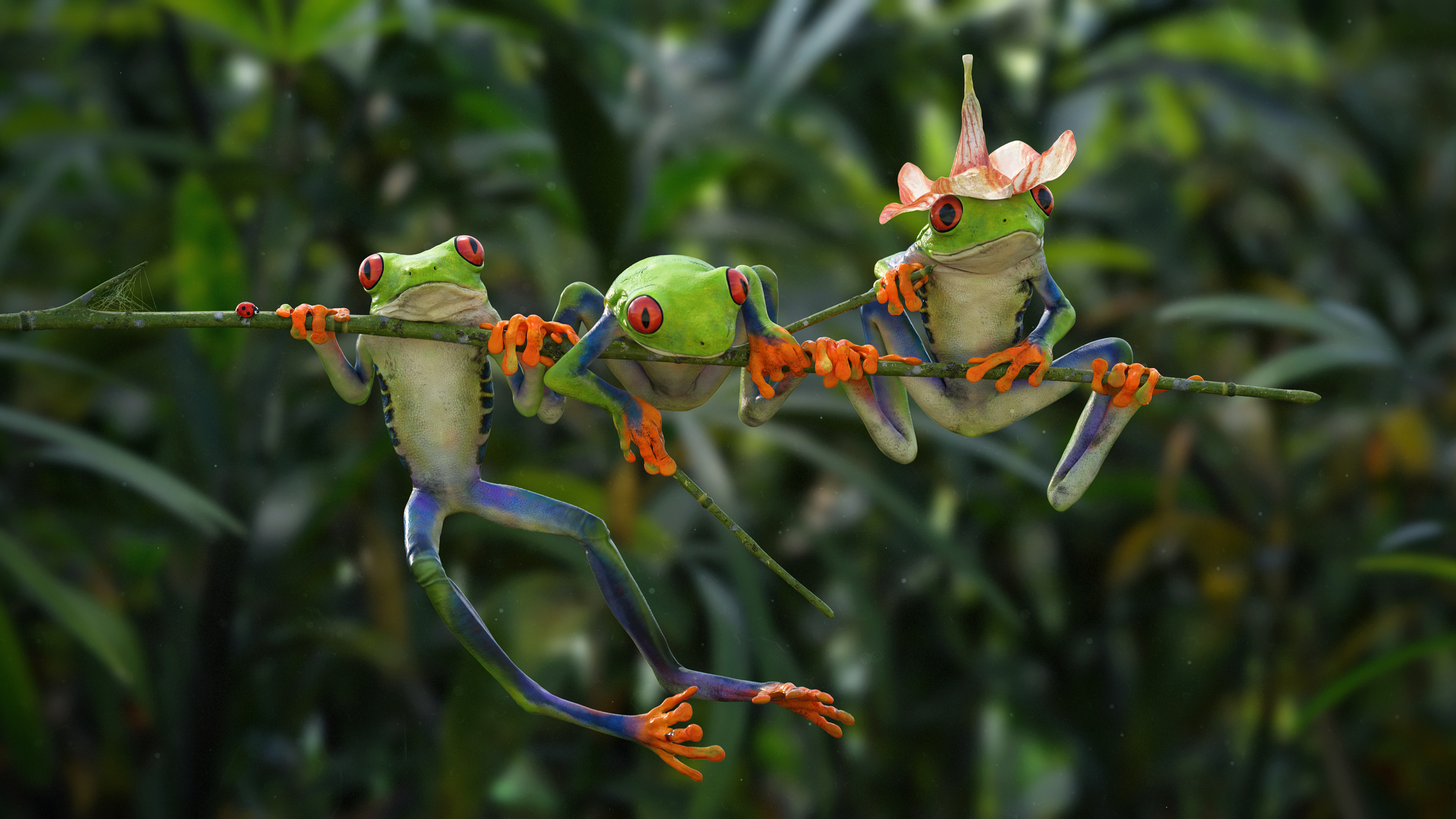 CGsociety's showcase, Jheintz's portfolio, Creative wonders, Unique amphibians, 3840x2160 4K Desktop