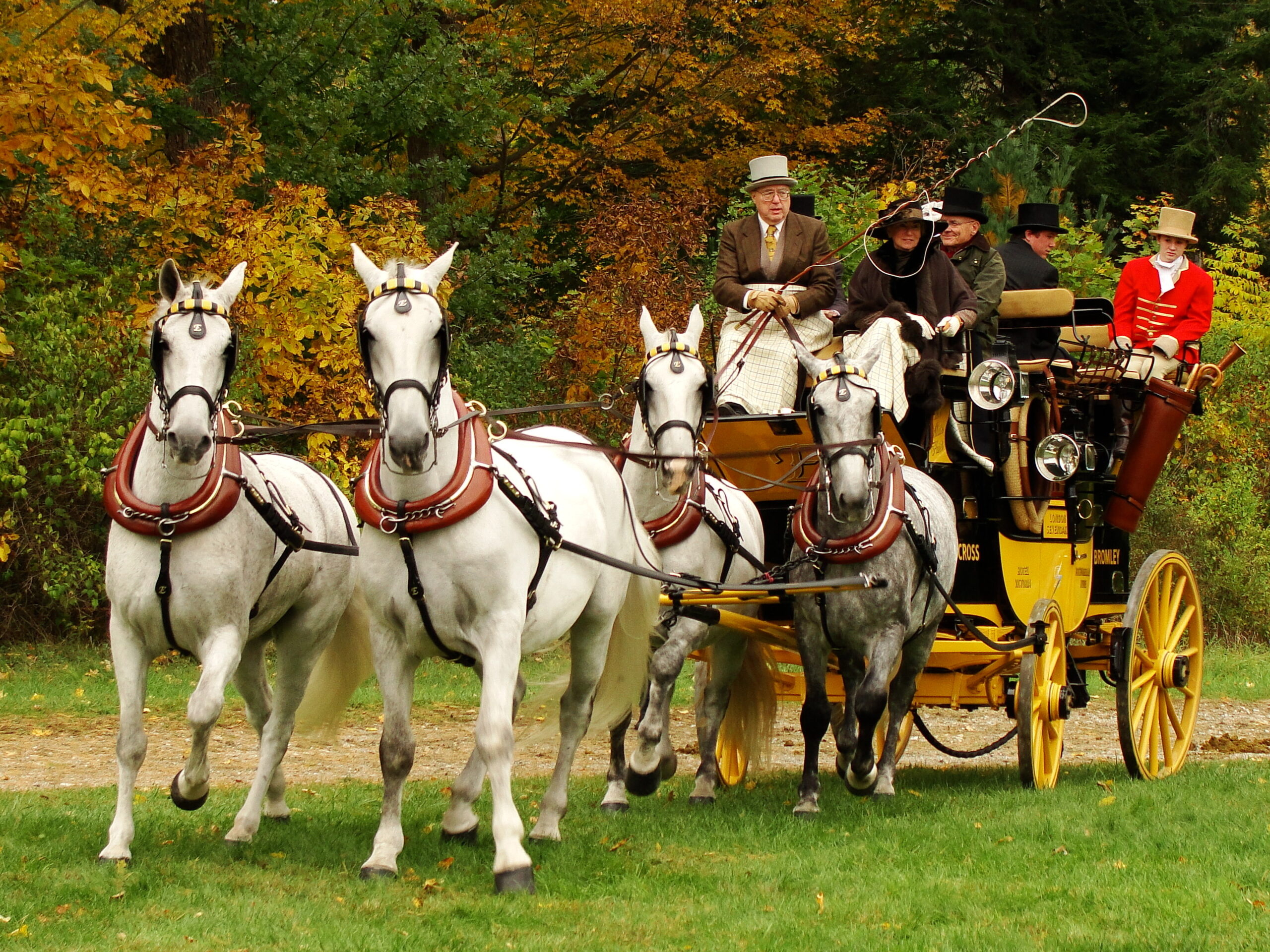 Orleton Farm Lenox, Carriage Driving Wallpaper, 2560x1920 HD Desktop