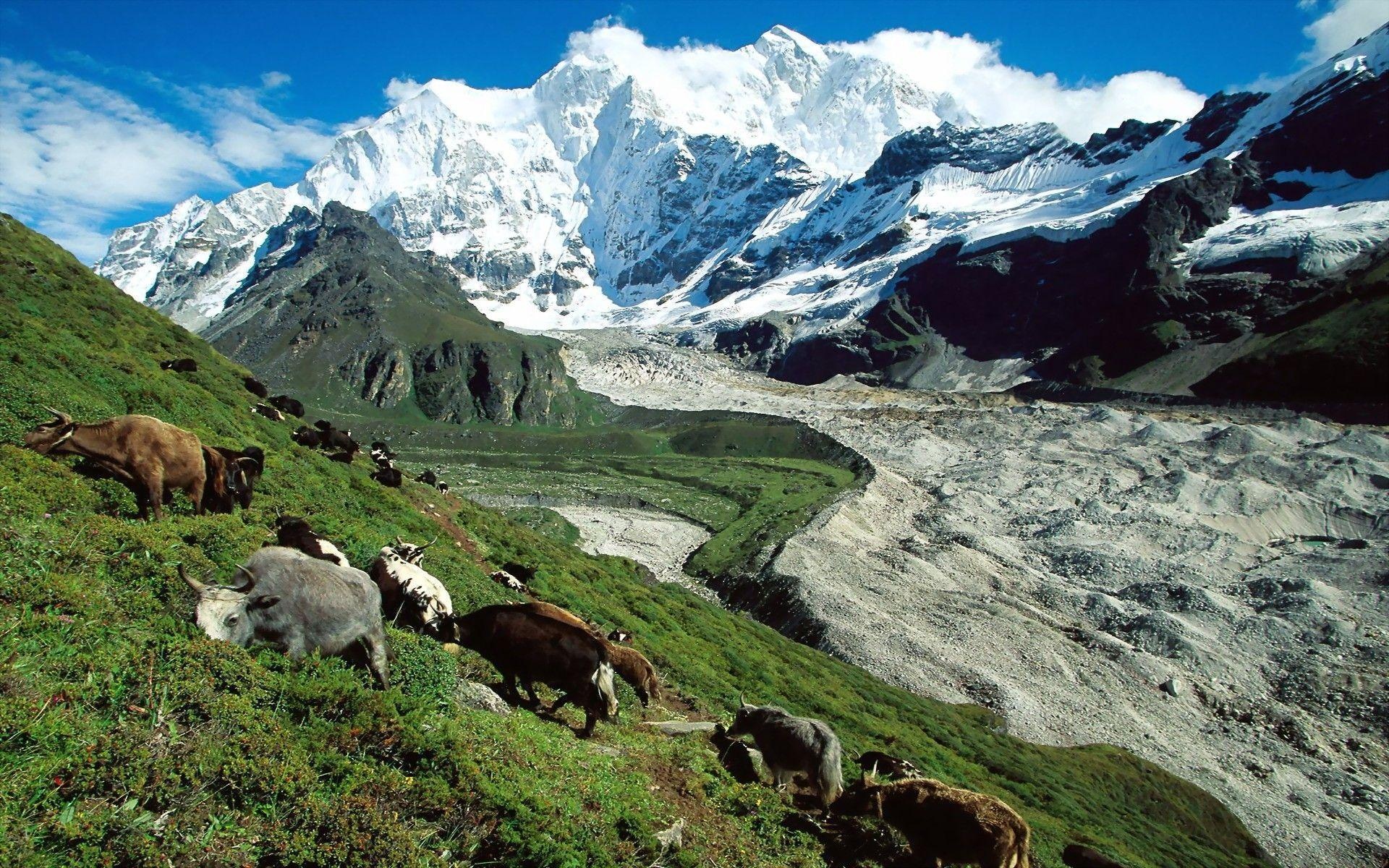 Tibetan Highlands, Wallpapers, 1920x1200 HD Desktop