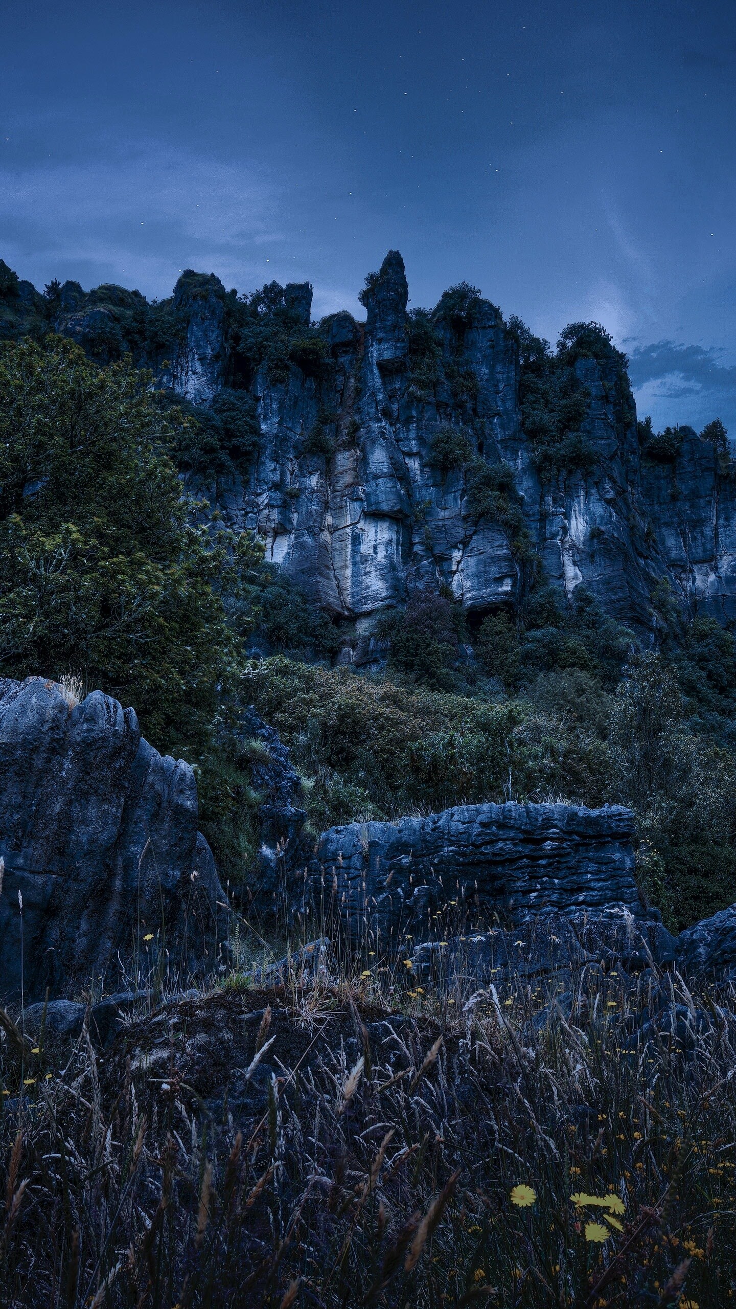 Cliff wallpaper, Night rocks, Piopio New Zealand, Nature, 1440x2560 HD Phone