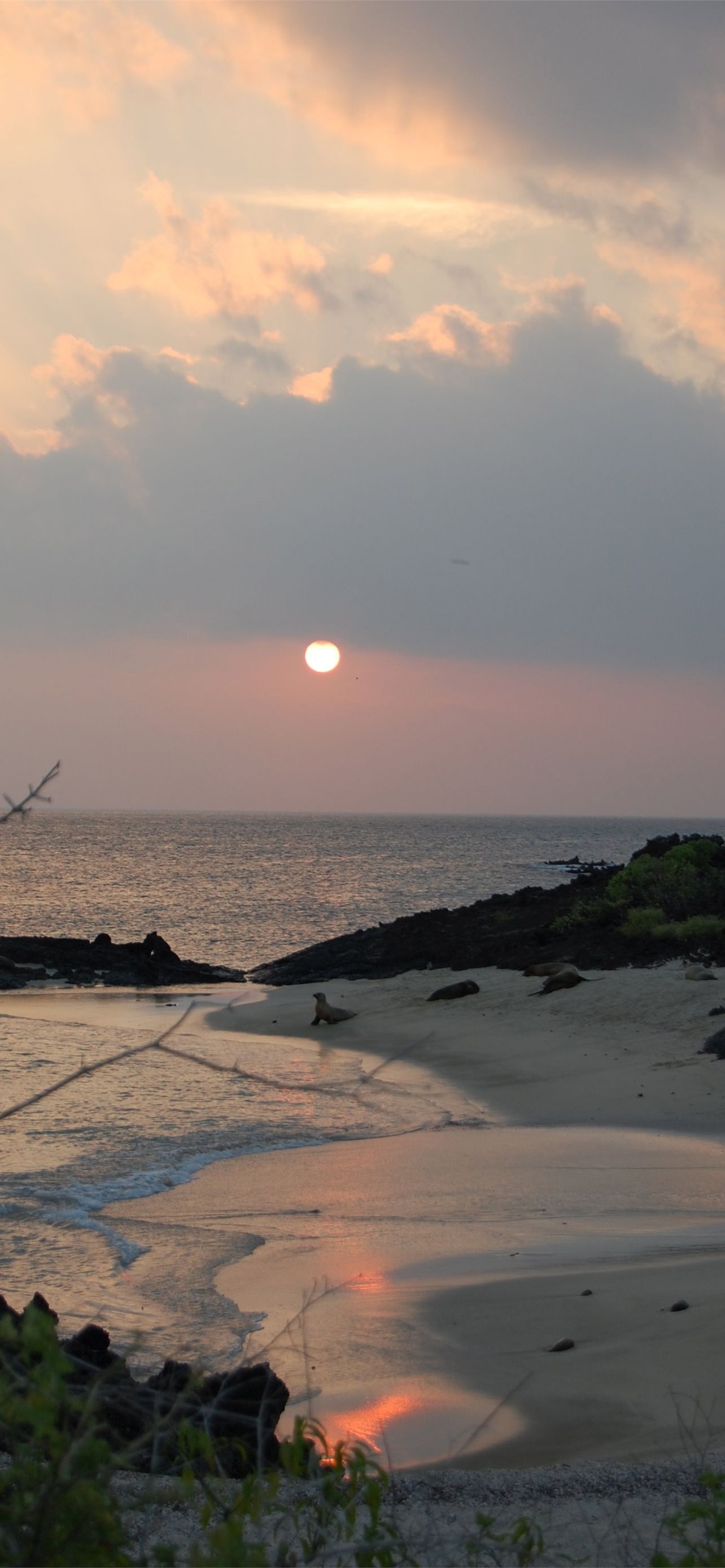 Galapagos Islands, Travels, iPhone wallpapers, HD, 1290x2780 HD Phone