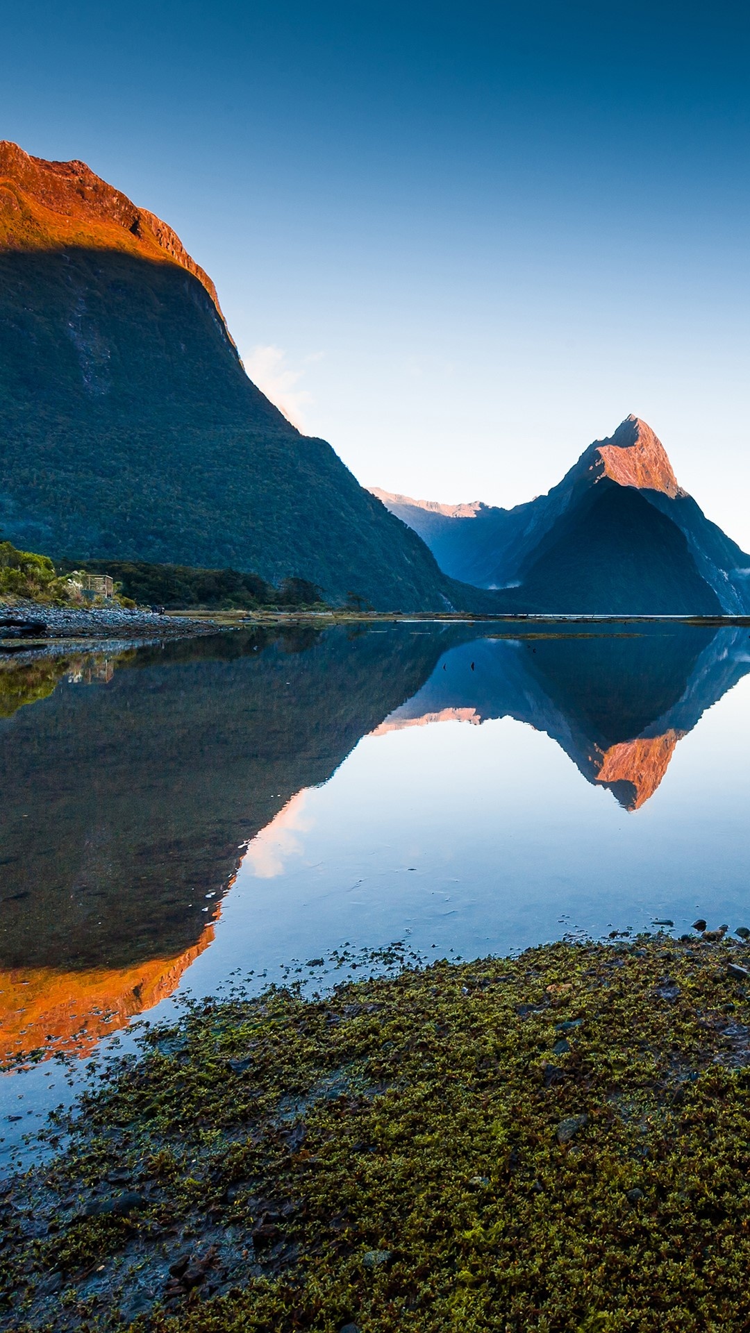 Morning View of Milford Sound, Piopiotahi, Fiordland National Park, New Zealand, 1080x1920 Full HD Phone