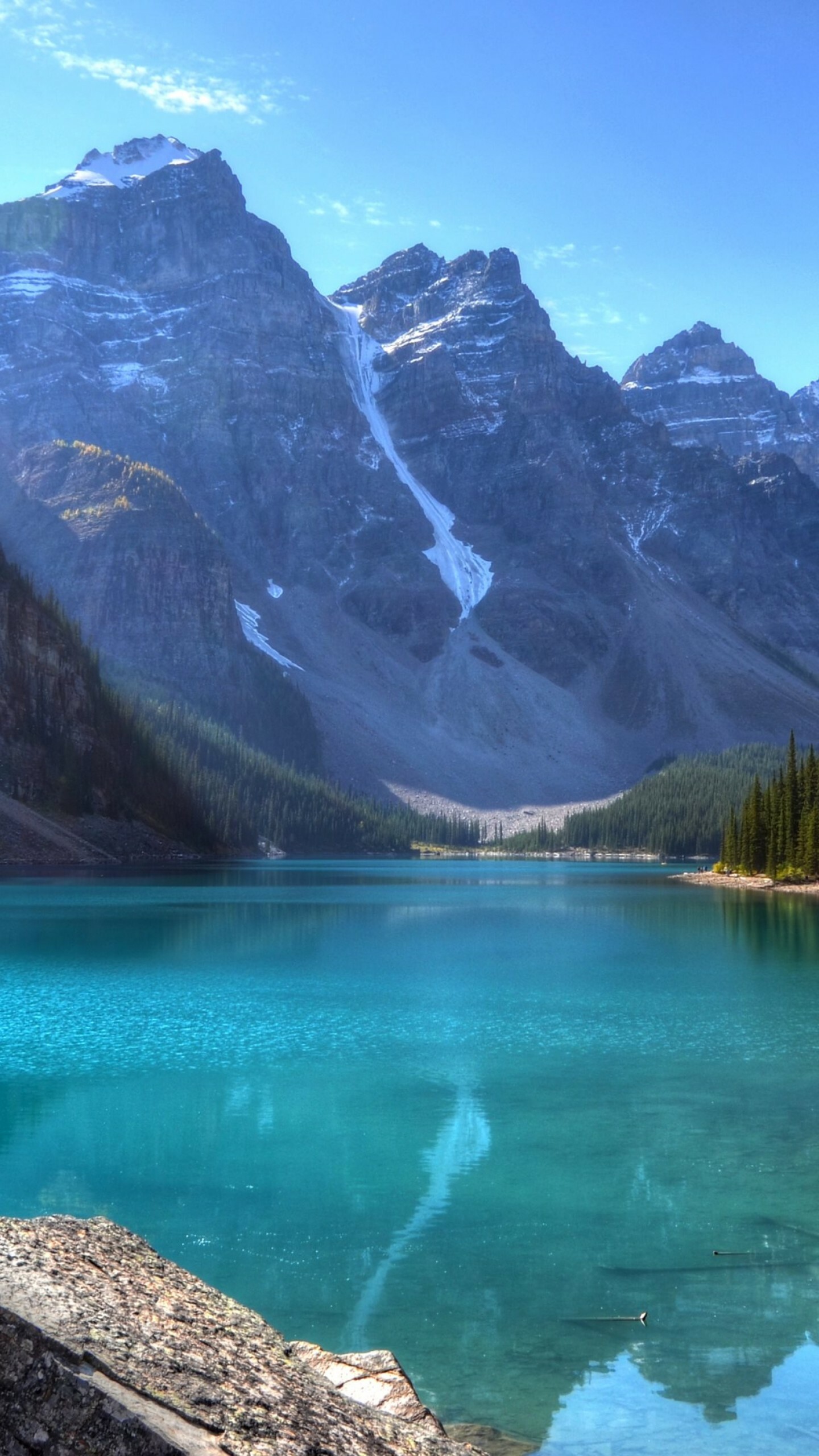 Himalayas, Reflective lake, Mountainous forest, Pine trees, 1440x2560 HD Phone