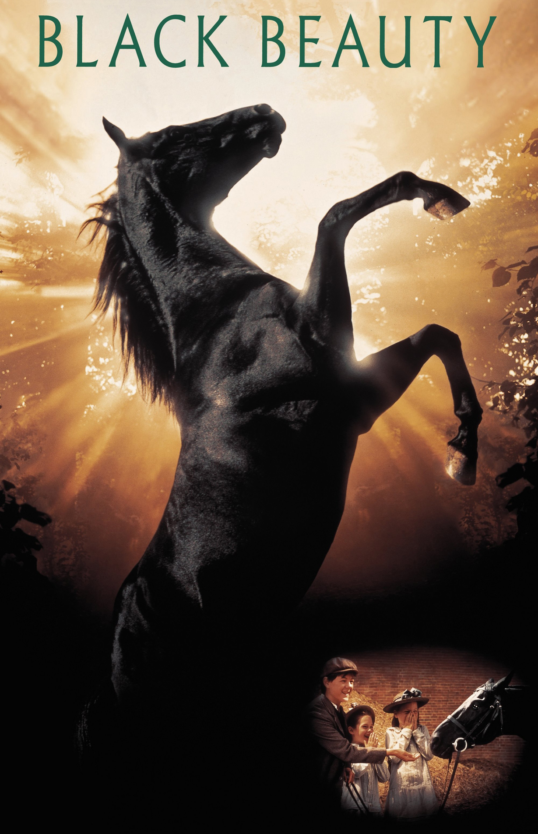 Black Beauty Streaming, Captivating drama, Animal rights, Themes of friendship, 1880x2920 HD Phone