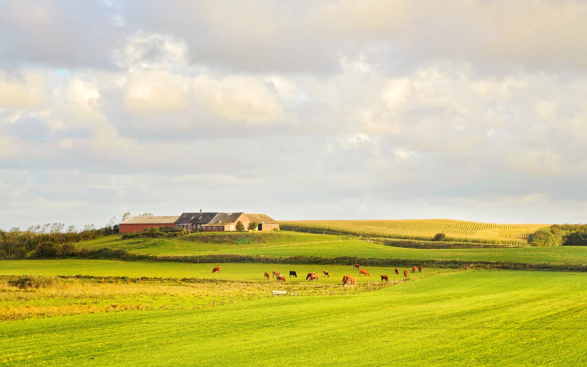 Countryside wallpaper collection, Serene English landscapes, Irish countryside charm, Vietnamese countryside beauty, 1920x1200 HD Desktop