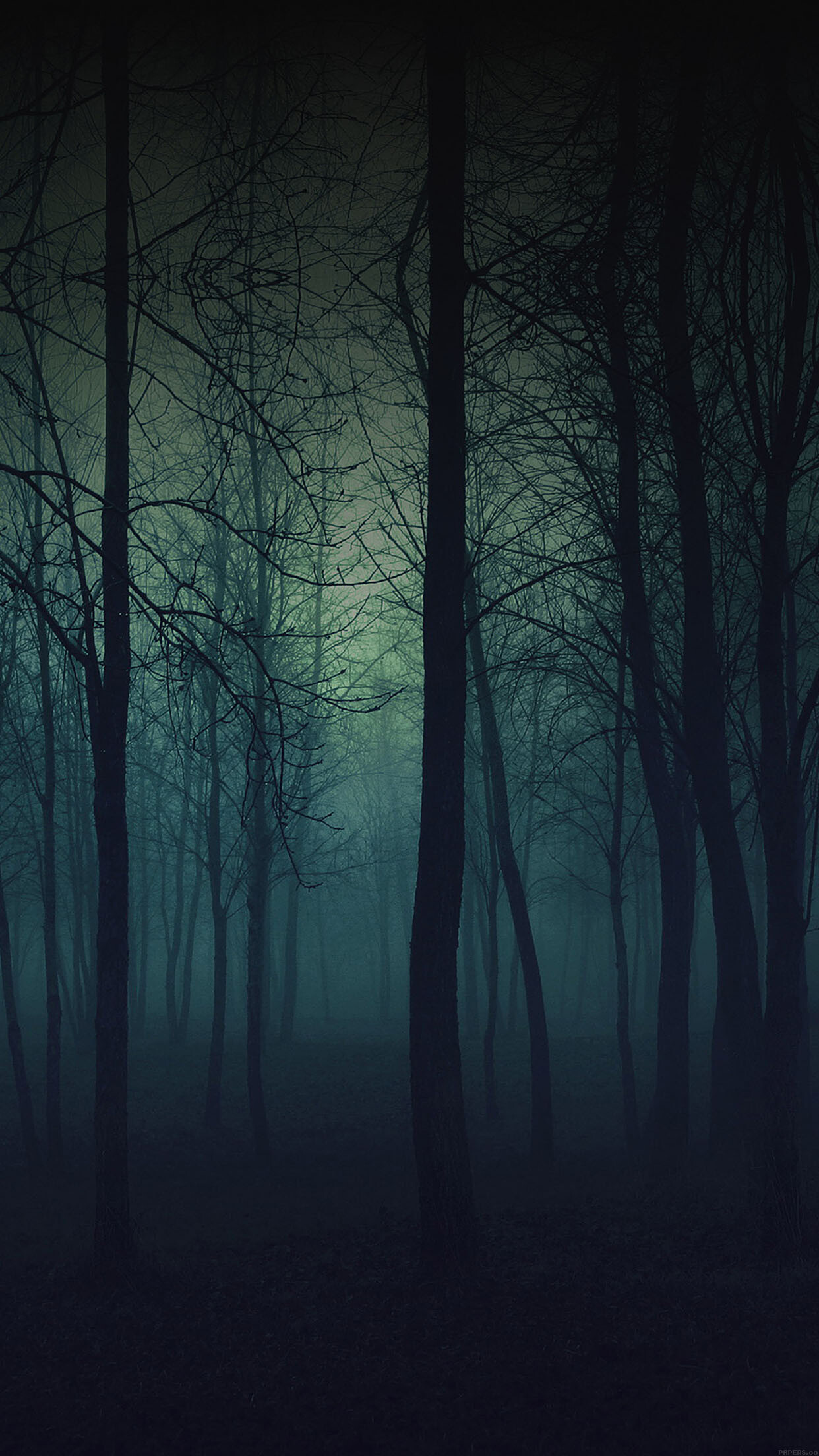 Foggy forest mountain, Mystical scenery, Serene beauty, Nature's embrace, 1250x2210 HD Phone