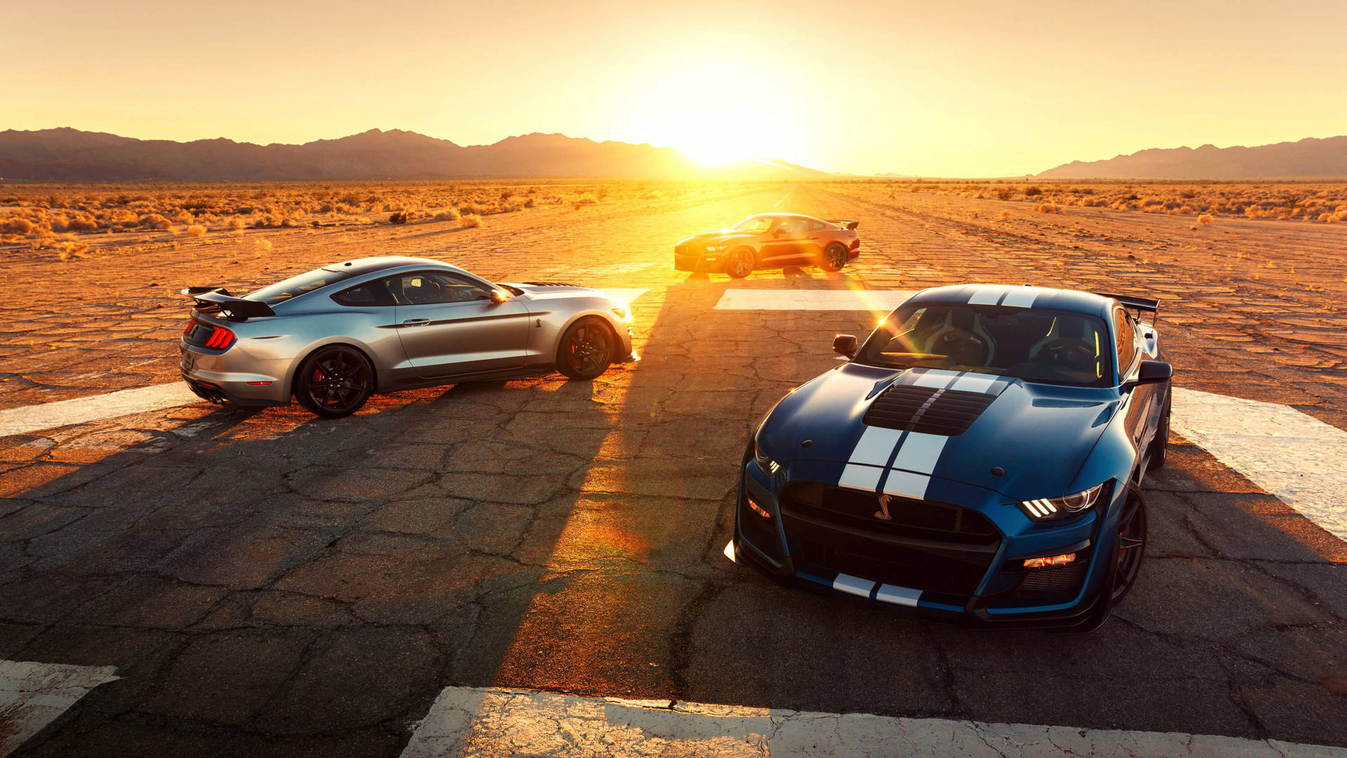 Ford Shelby GT500, Cool Cars Wallpaper, 1920x1080 Full HD Desktop