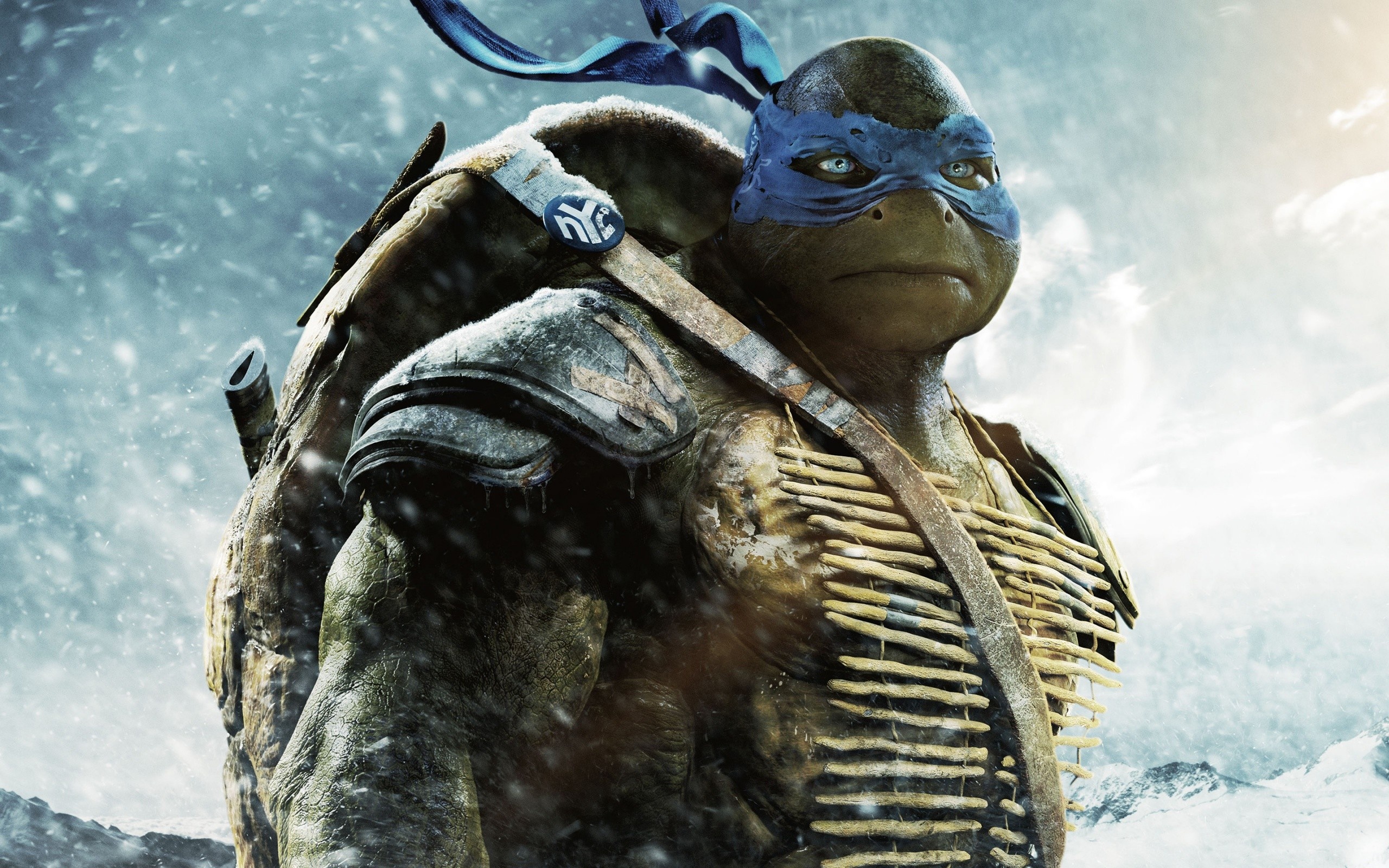 Mutant Ninja Turtles, Leo in chaos, Wide wallpapers, Animated heroes, 2560x1600 HD Desktop