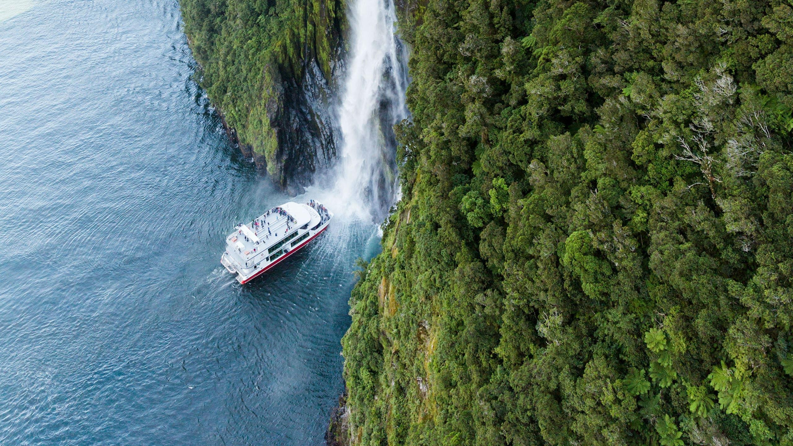 Milford Sound, Bootstour von Te Anau, Wildlife observation, CheckYeti, 2560x1440 HD Desktop