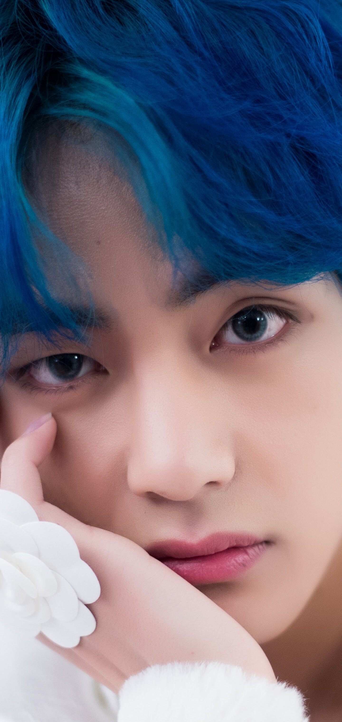 V BTS, Boy with luv 4K wallpaper, 1440x3040 HD Phone