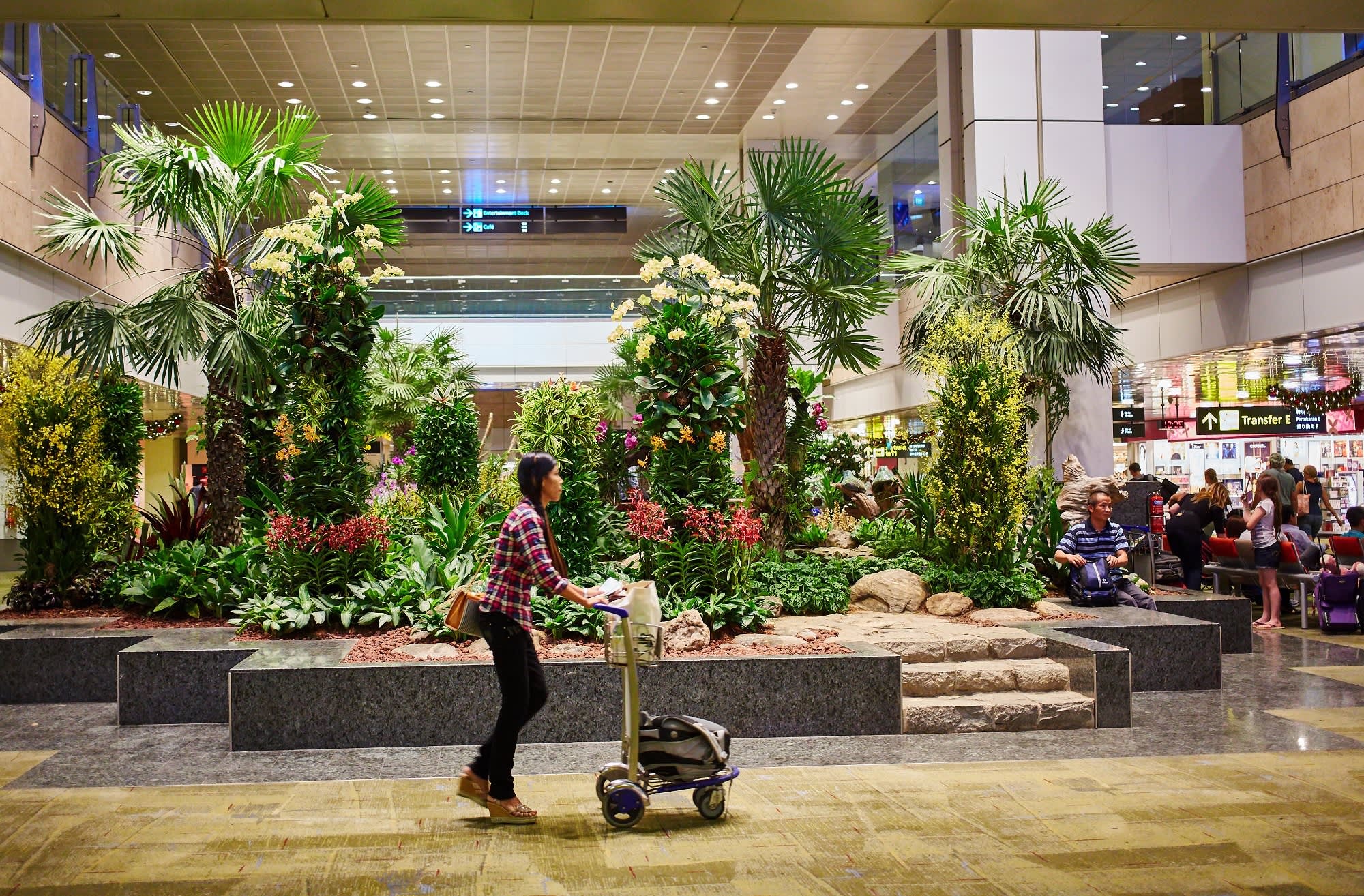 Singapore Changi, inside singapore changi, ranked best airport, 2000x1320 HD Desktop