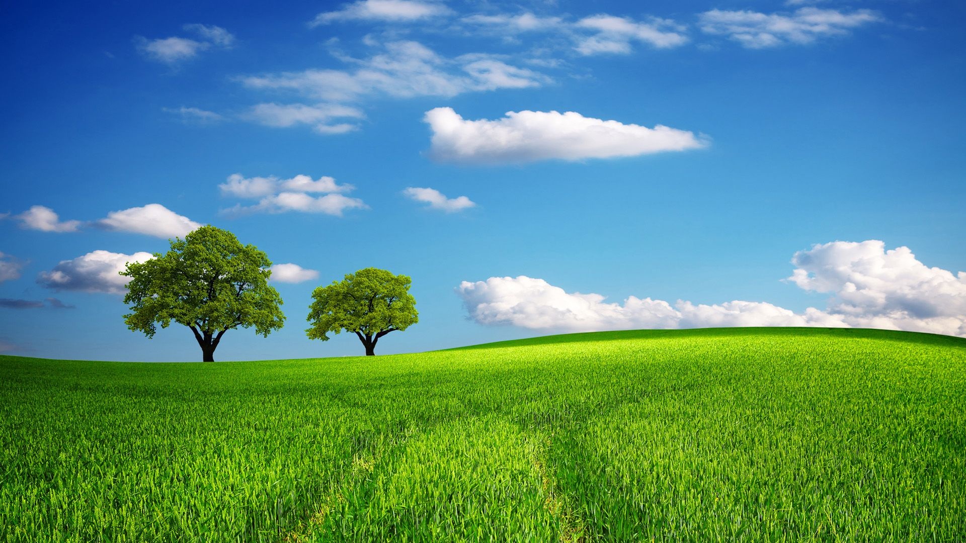 Green pastures, Lush landscapes, Rolling hills, Calm surroundings, 1920x1080 Full HD Desktop