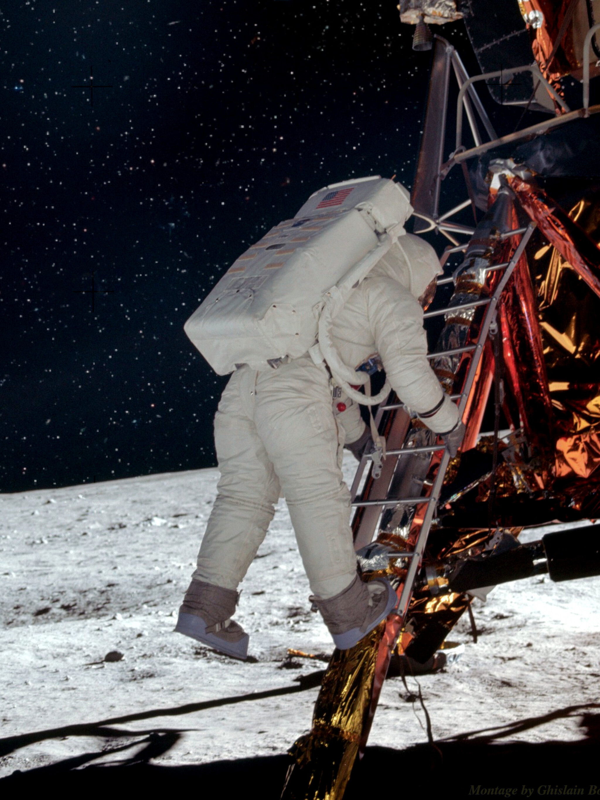 Apollo 11, NASA, Buzz Aldrin, Descending the ladder, 2050x2740 HD Phone