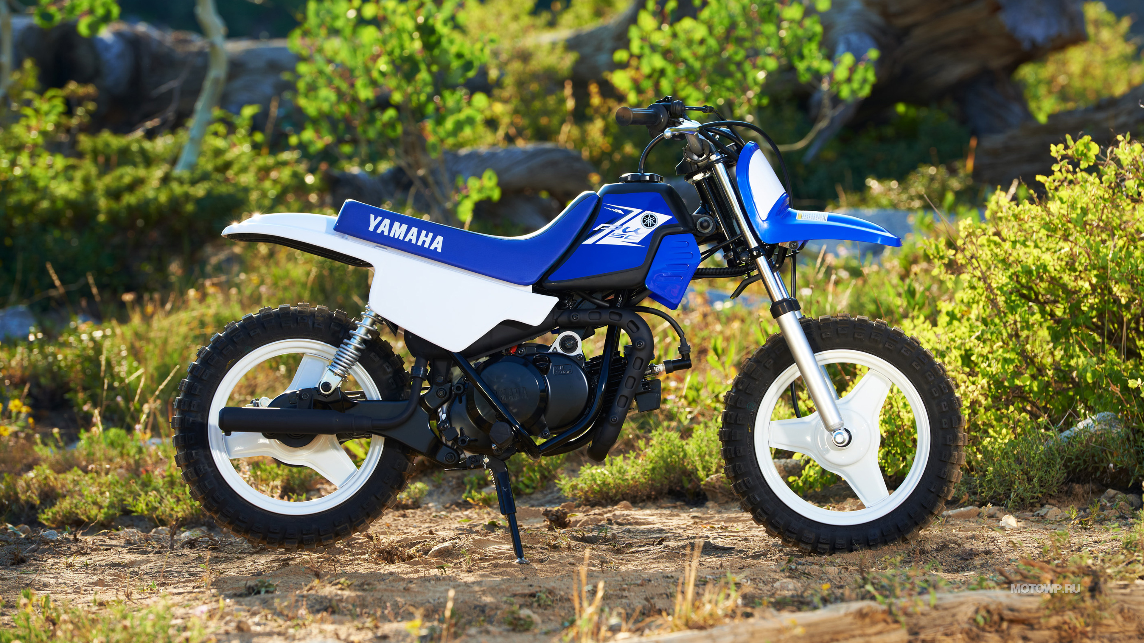 Yamaha PW50, 2013 model, 3840x2160 4K Desktop