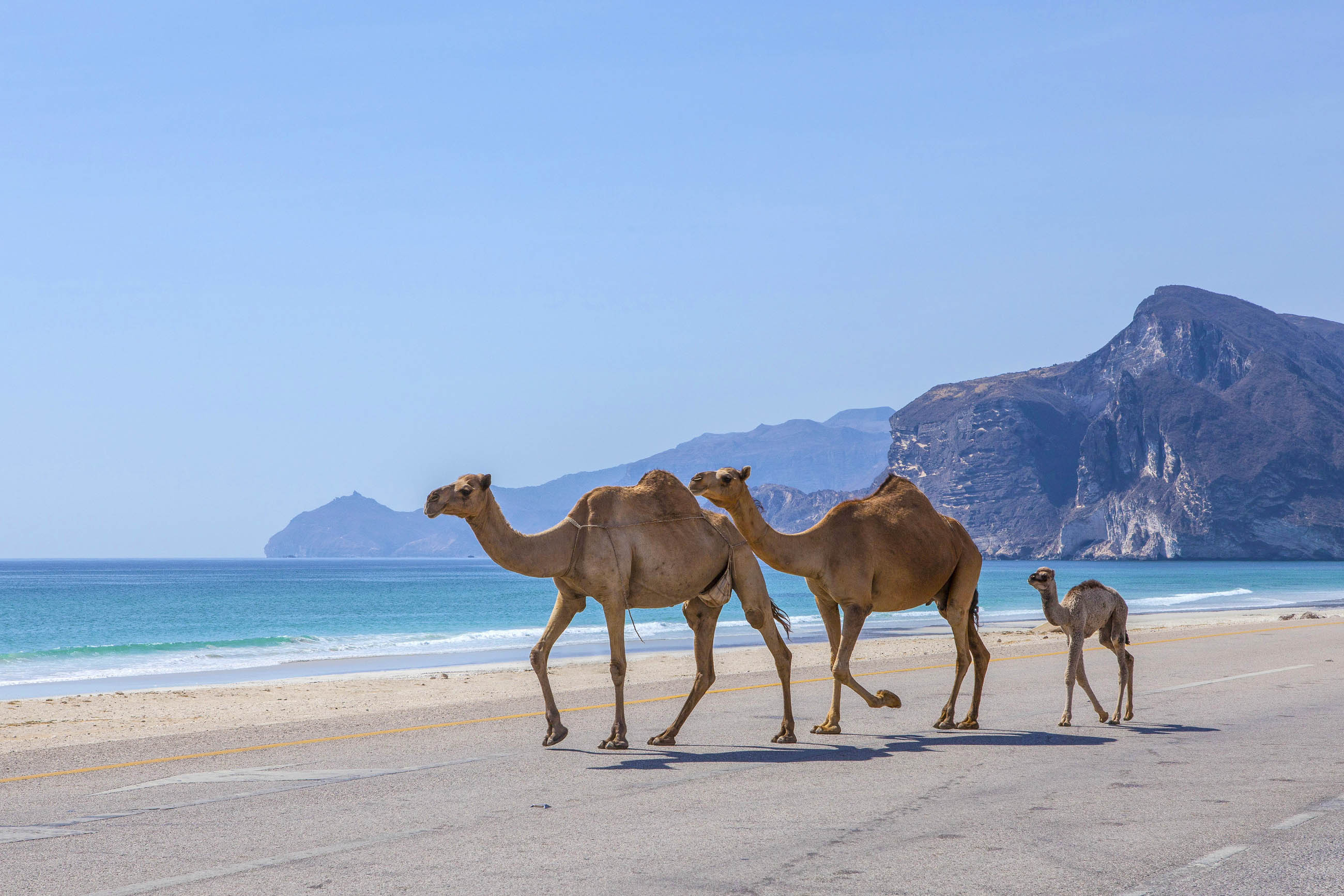 Oman travels, Beautiful beaches, Frank's Travelbox, 2600x1740 HD Desktop