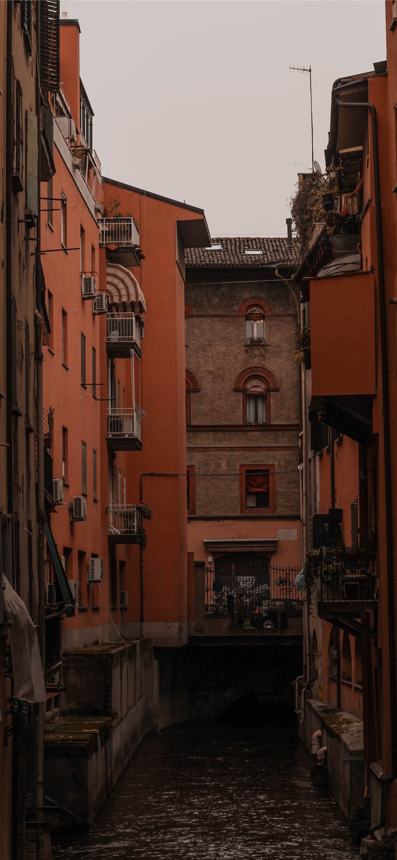 Medieval charm, Culinary delights, Hidden gems, Bologna travel, 1290x2780 HD Phone