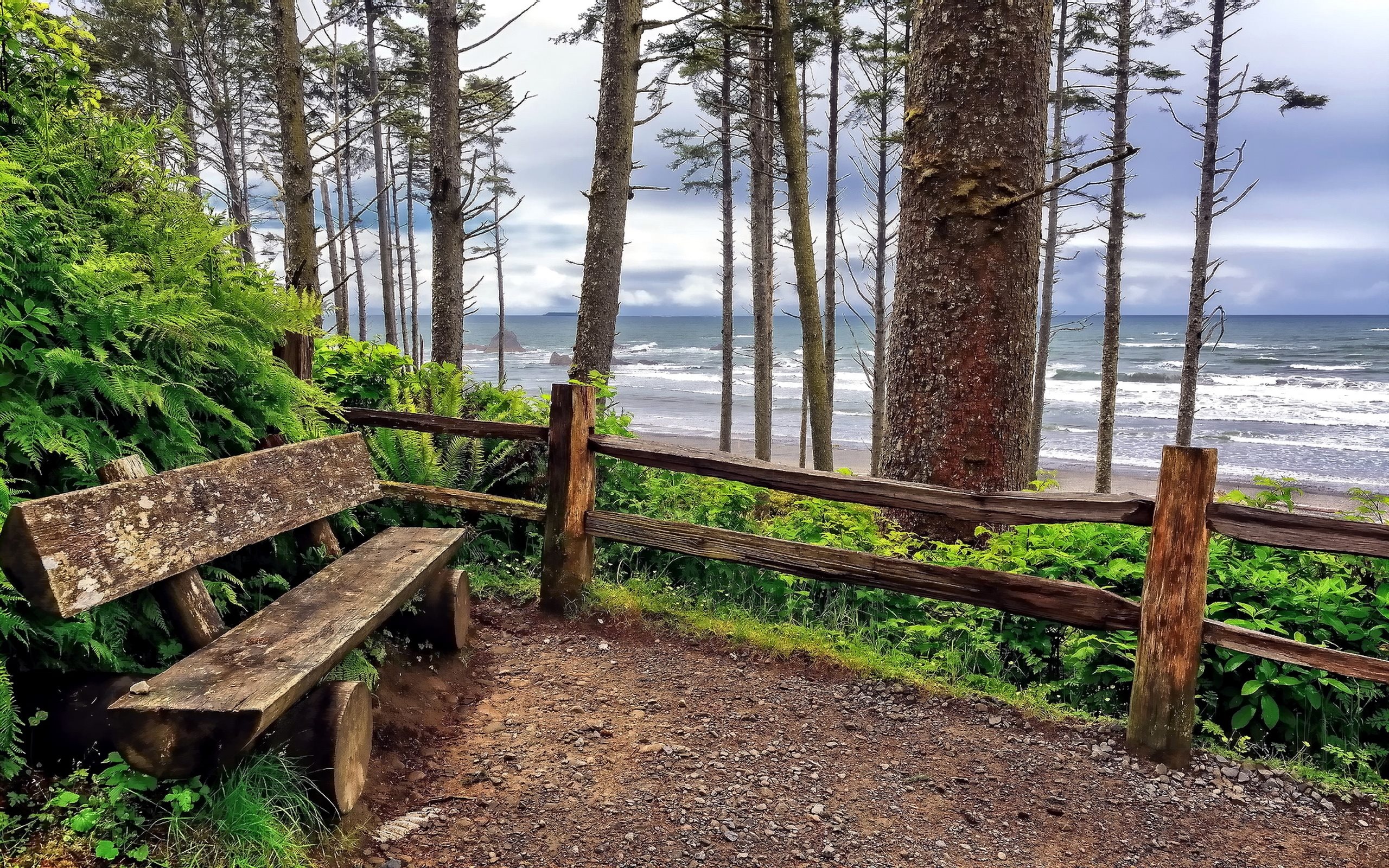 Washington State Travels - Ruby Beach, Locality, Washington DC, 2560x1600 HD Desktop