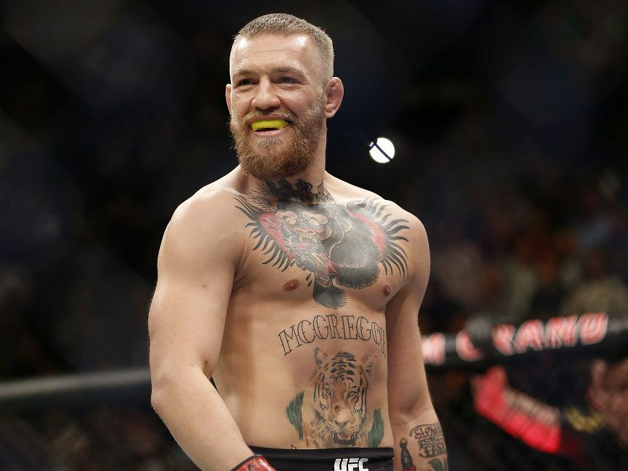 Conor McGregor, iPhone wallpapers, 2050x1540 HD Desktop