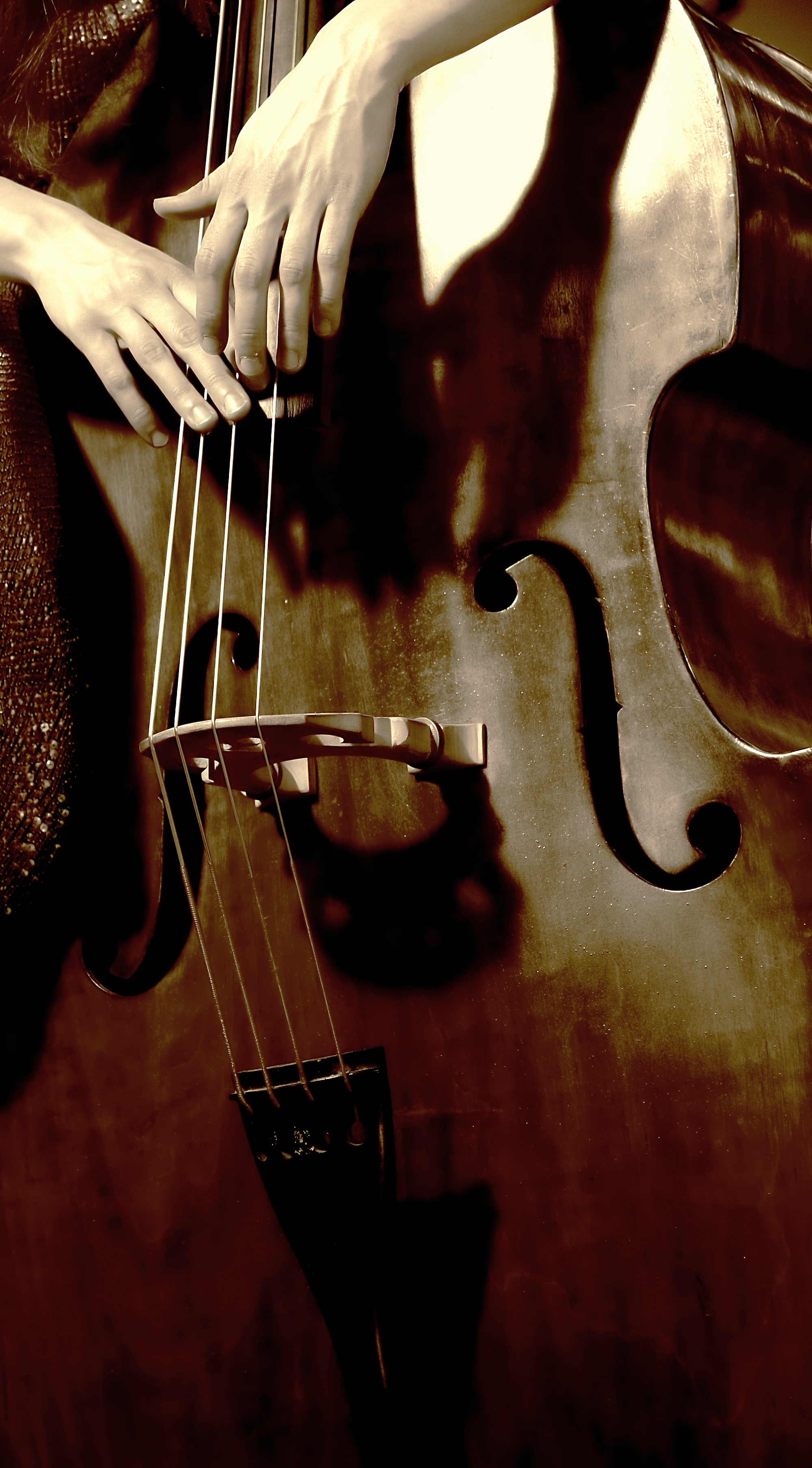 Double Bass wallpapers, Low-end resonance, Stringed melodies, Musical artistry, 2000x3620 HD Phone