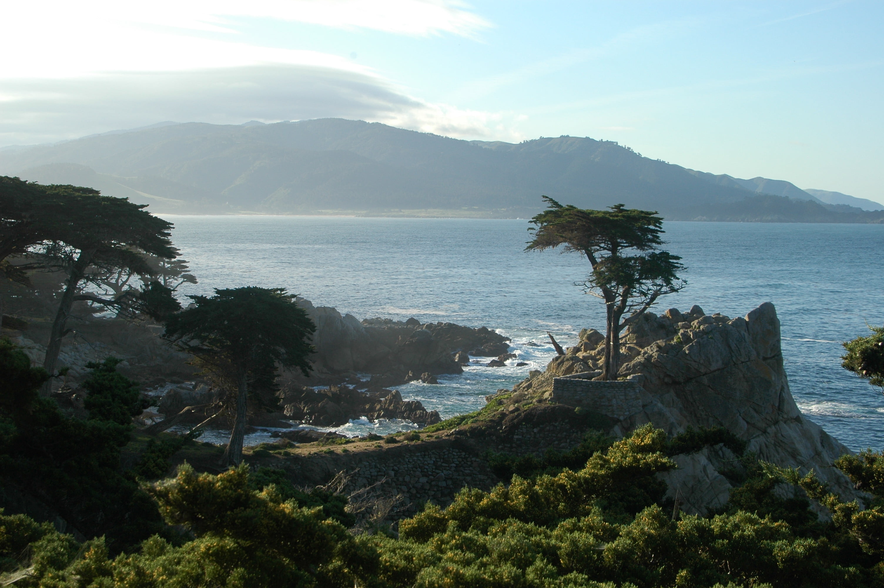 The Lone Cypress, Cypress Tree Wallpaper, 3010x2000 HD Desktop