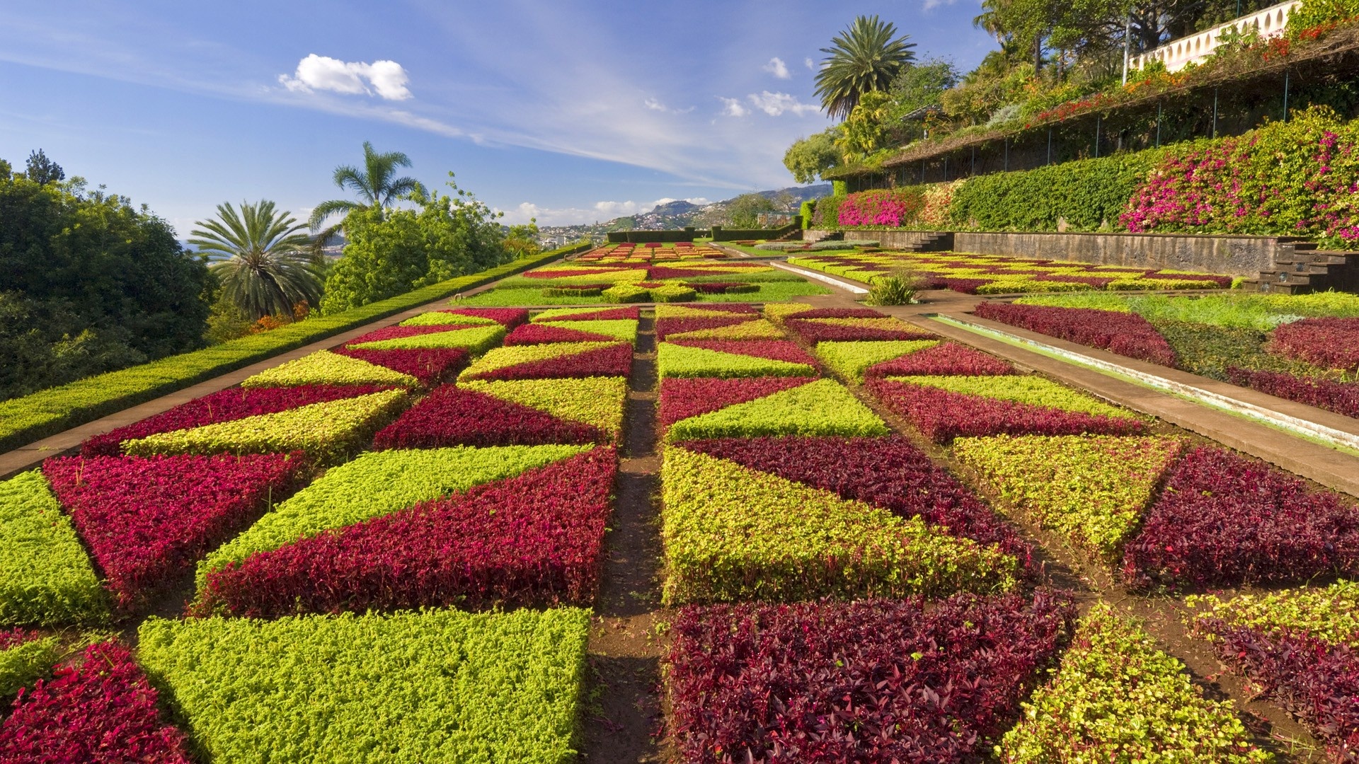 Madeira Botanical Garden, Flower Garden Wallpaper, 1920x1080 Full HD Desktop