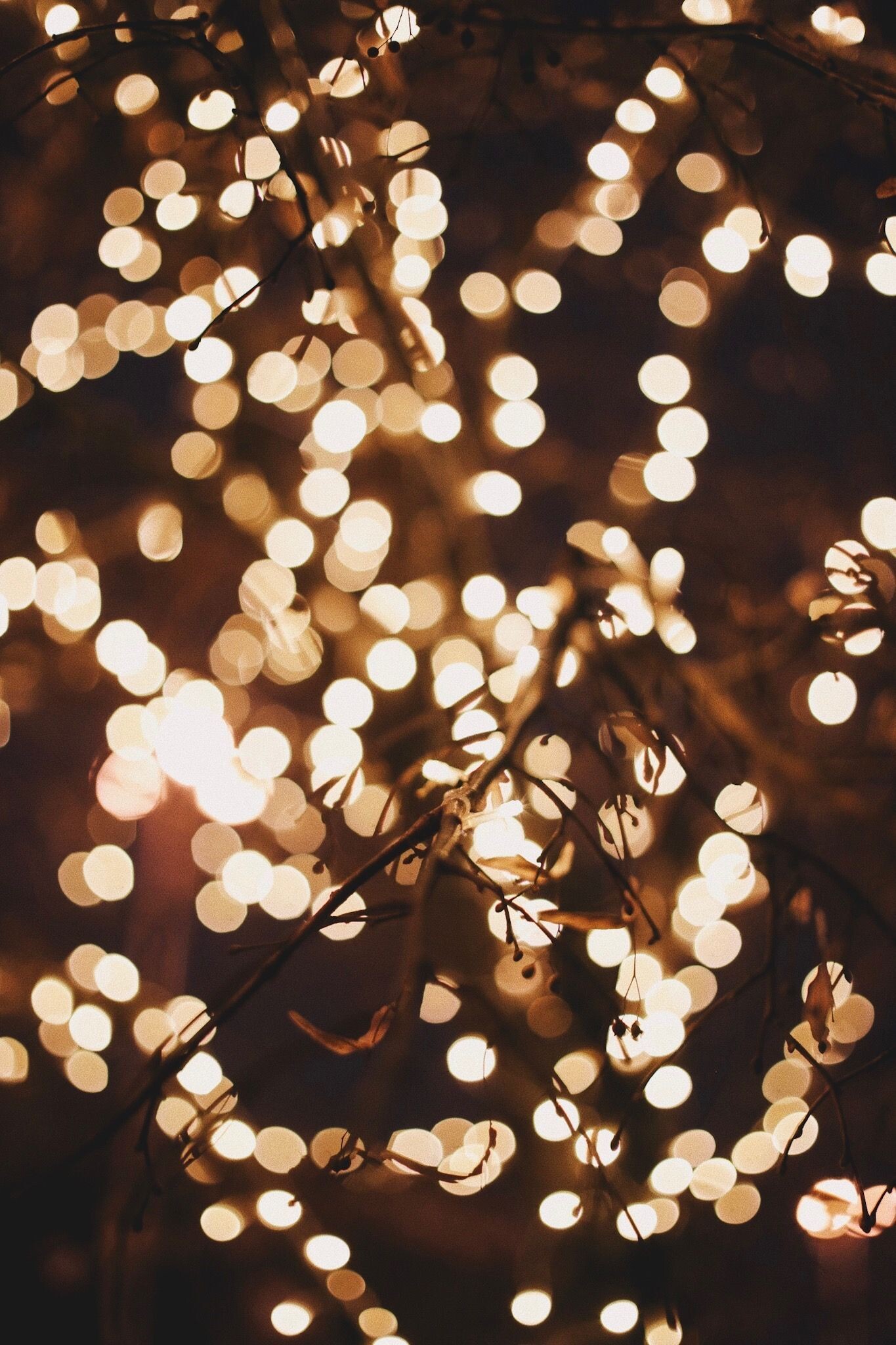 Gold lights, White Christmas, Twinkling glow, Holiday spirit, 1370x2050 HD Phone