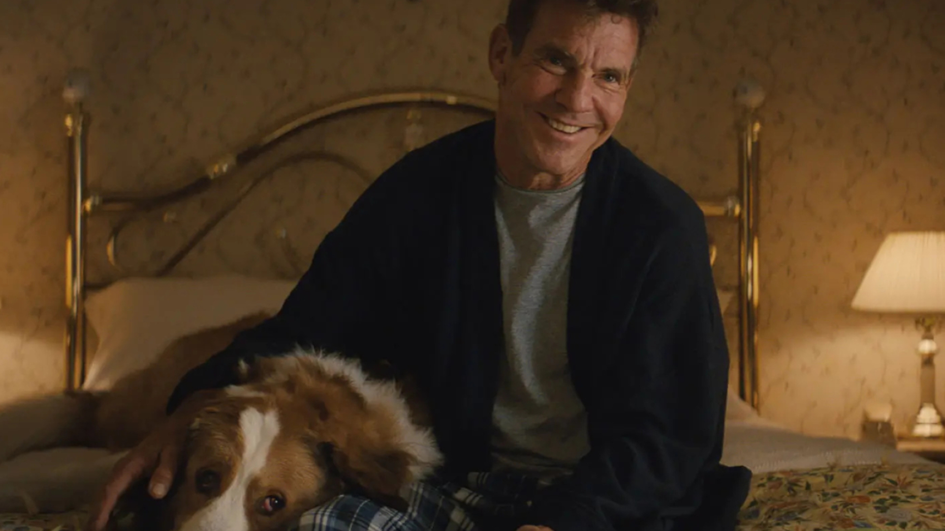 A Dog's Journey, Animal lover, Dennis Quaid, Starmometer, 1920x1080 Full HD Desktop