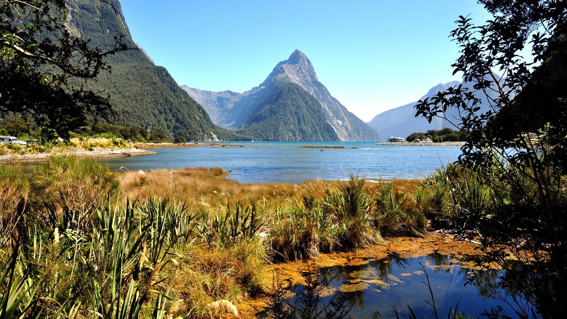 Fiordland adventure, Auckland I-site, National park visit, Nature's splendor, 1920x1080 Full HD Desktop