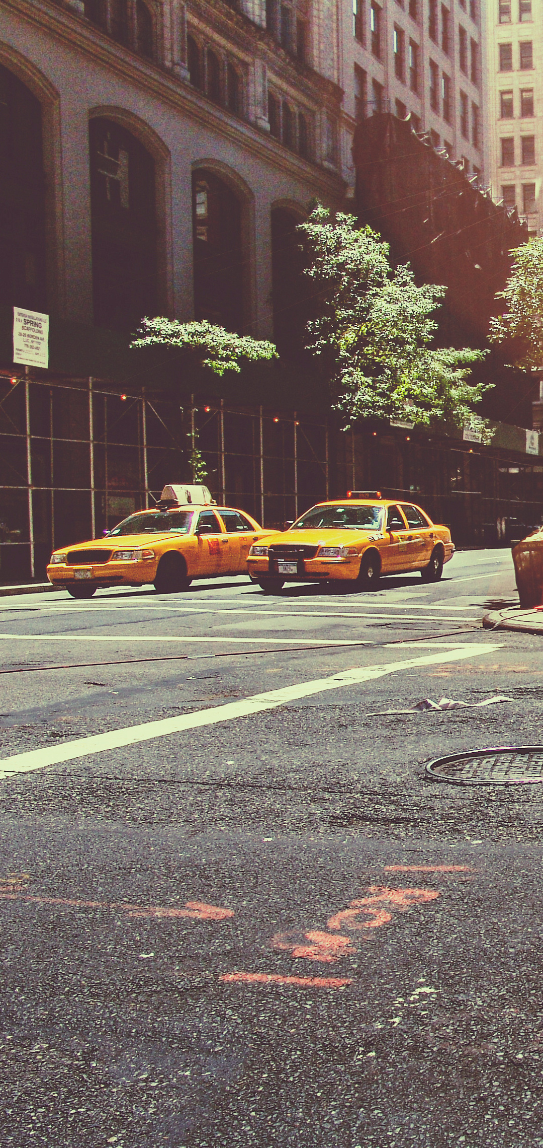 Taxi cabs, New York City, Street vehicles, HD wallpapers, 1080x2280 HD Phone