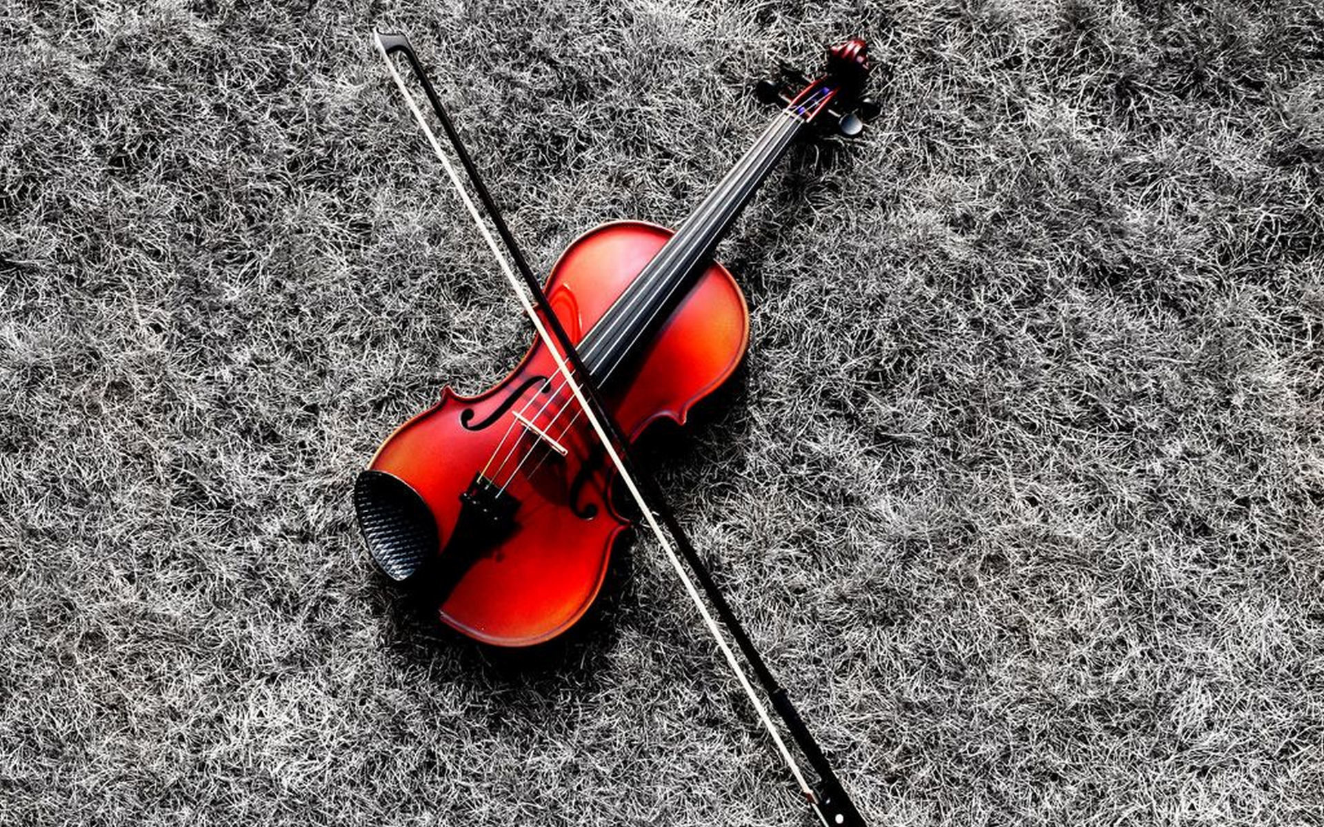 High resolution violin, HD background, Musical inspiration, Eloquent instrument, 1920x1200 HD Desktop