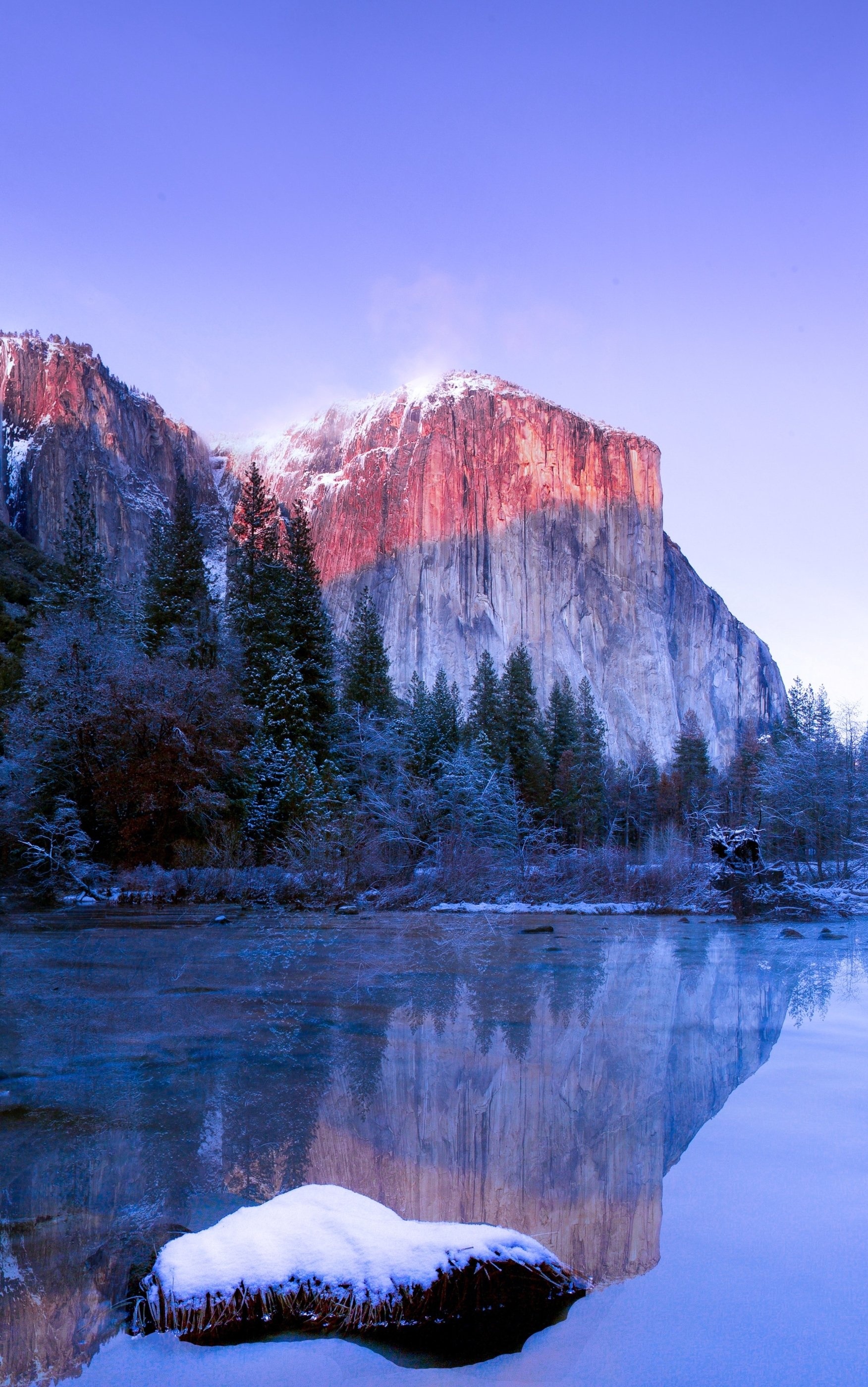 El Capitan, Yosemite National Park Wallpaper, 1760x2800 HD Phone