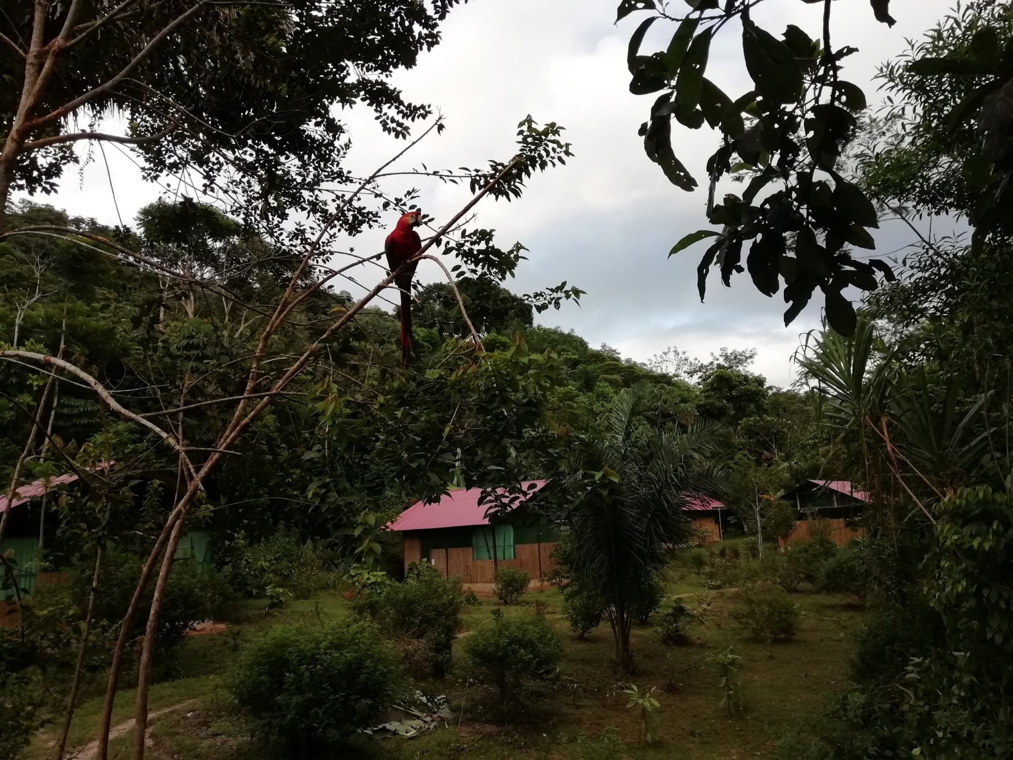 Manu National Park, Peruvian Amazon, Eco lodge, Rainforest adventure, 2000x1500 HD Desktop