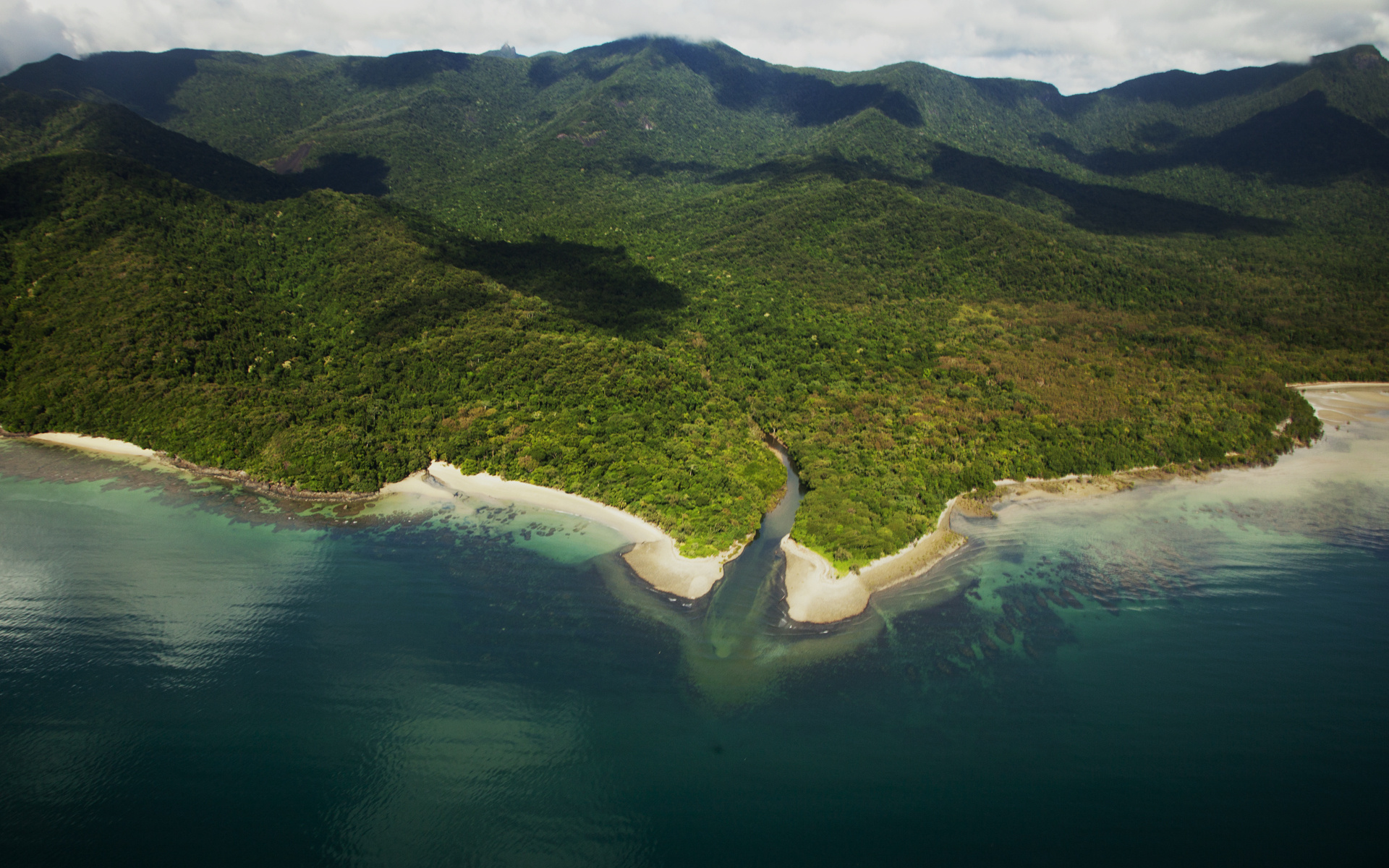 Daintree National Park, Visit, Rainforest, 1920x1200 HD Desktop