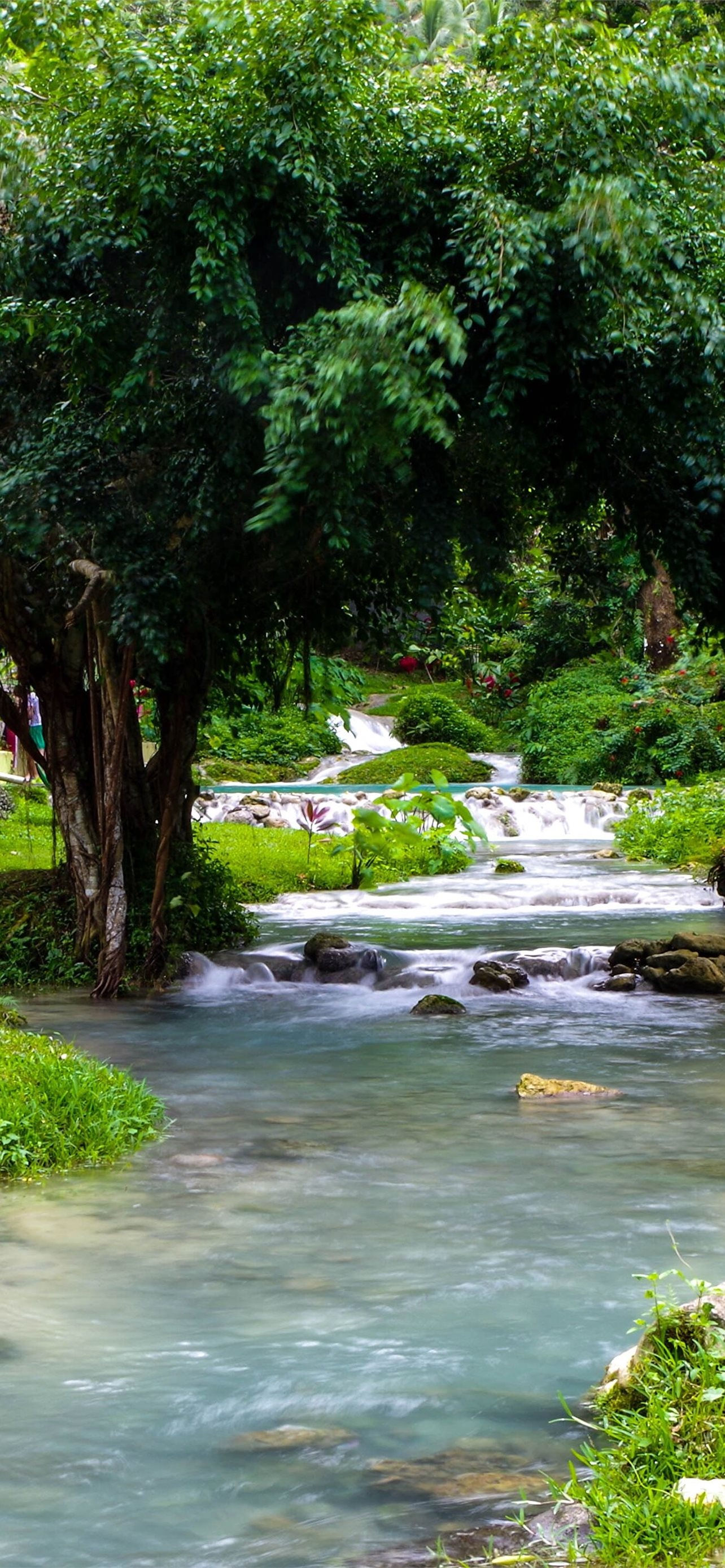 Vanuatu, Vanuatu iPhone HD wallpapers, Free download, Beaches, 1290x2780 HD Phone