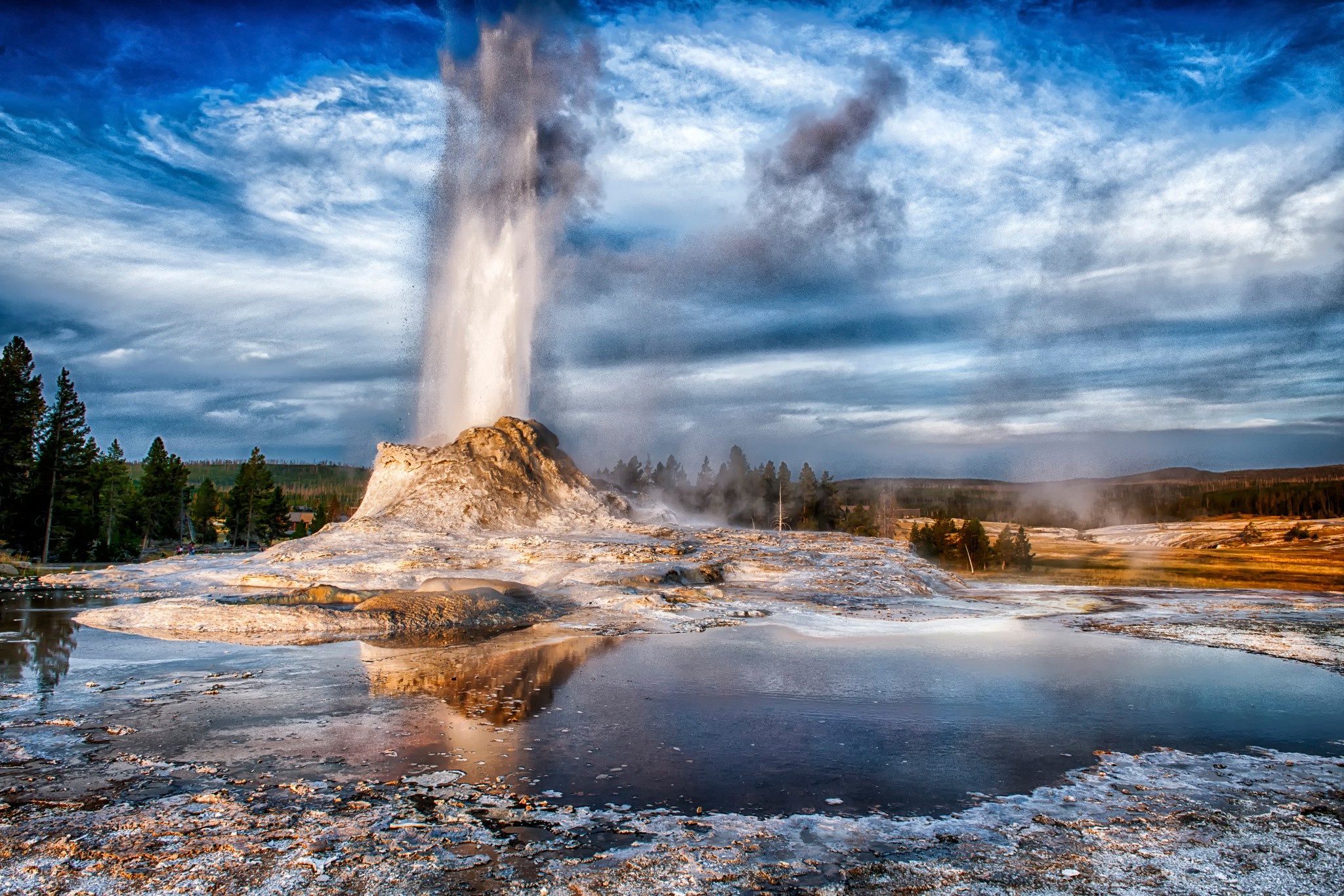 Yellowstone National Park, Nature's landscape, Majestic trees, Wyoming's beauty, 2050x1370 HD Desktop