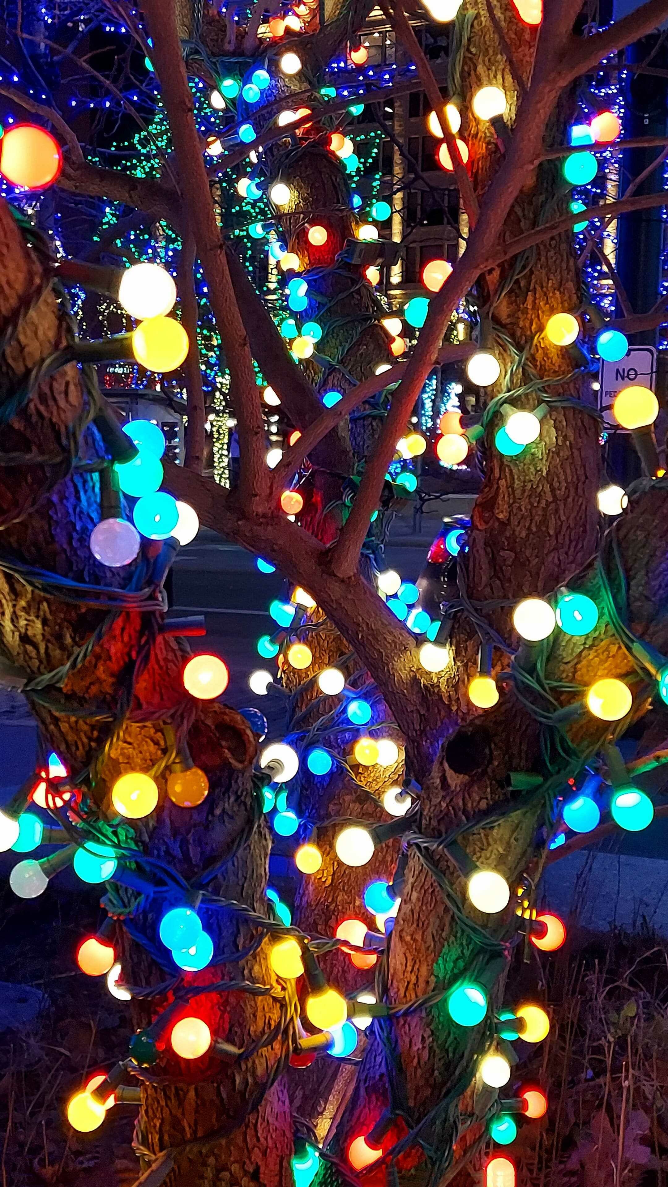 Christmas lights, Festive glow, Holiday decorations, Twinkling bulbs, 2160x3840 4K Phone